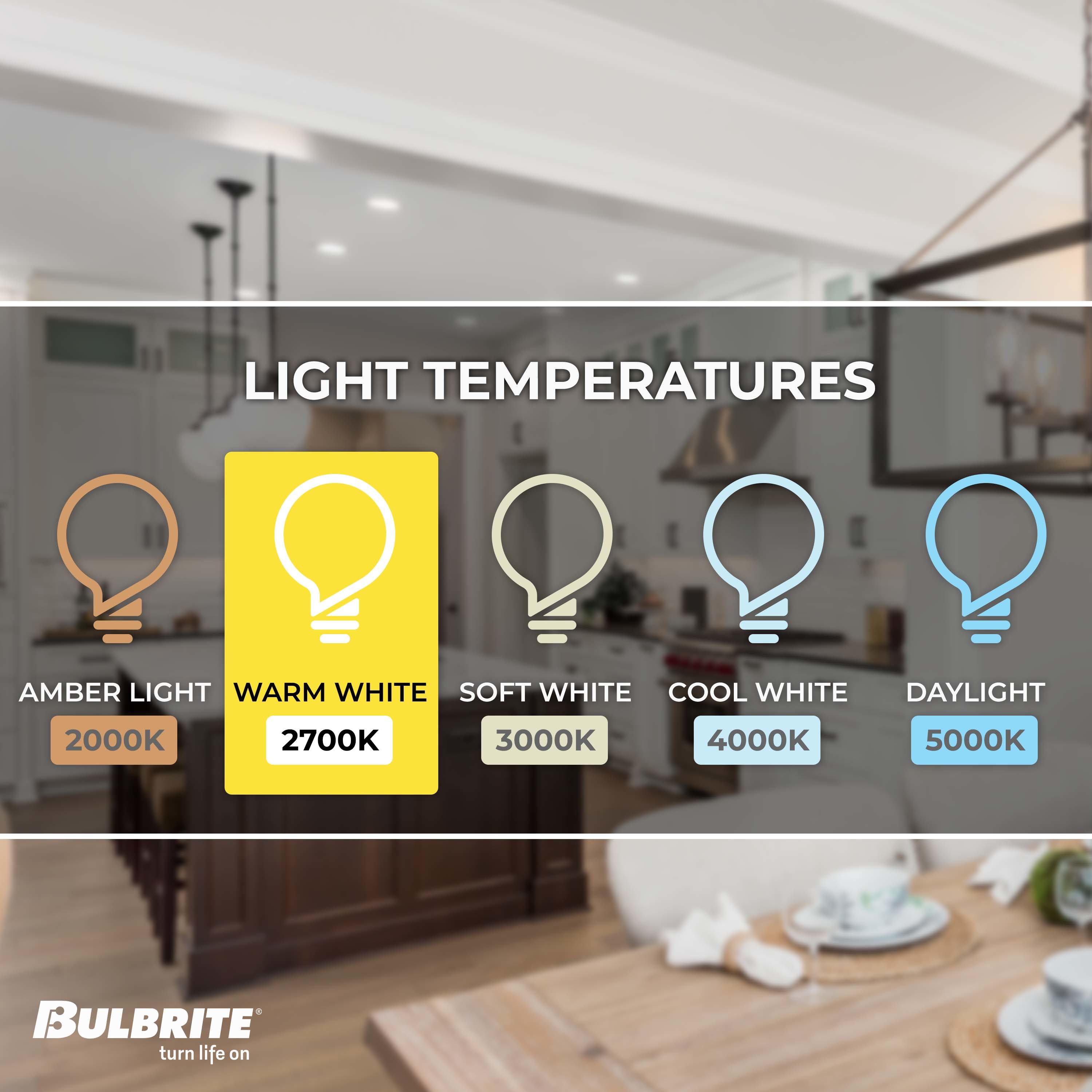 Bulbrite 861411 Dec-Led-Light-Bulbs - View #3