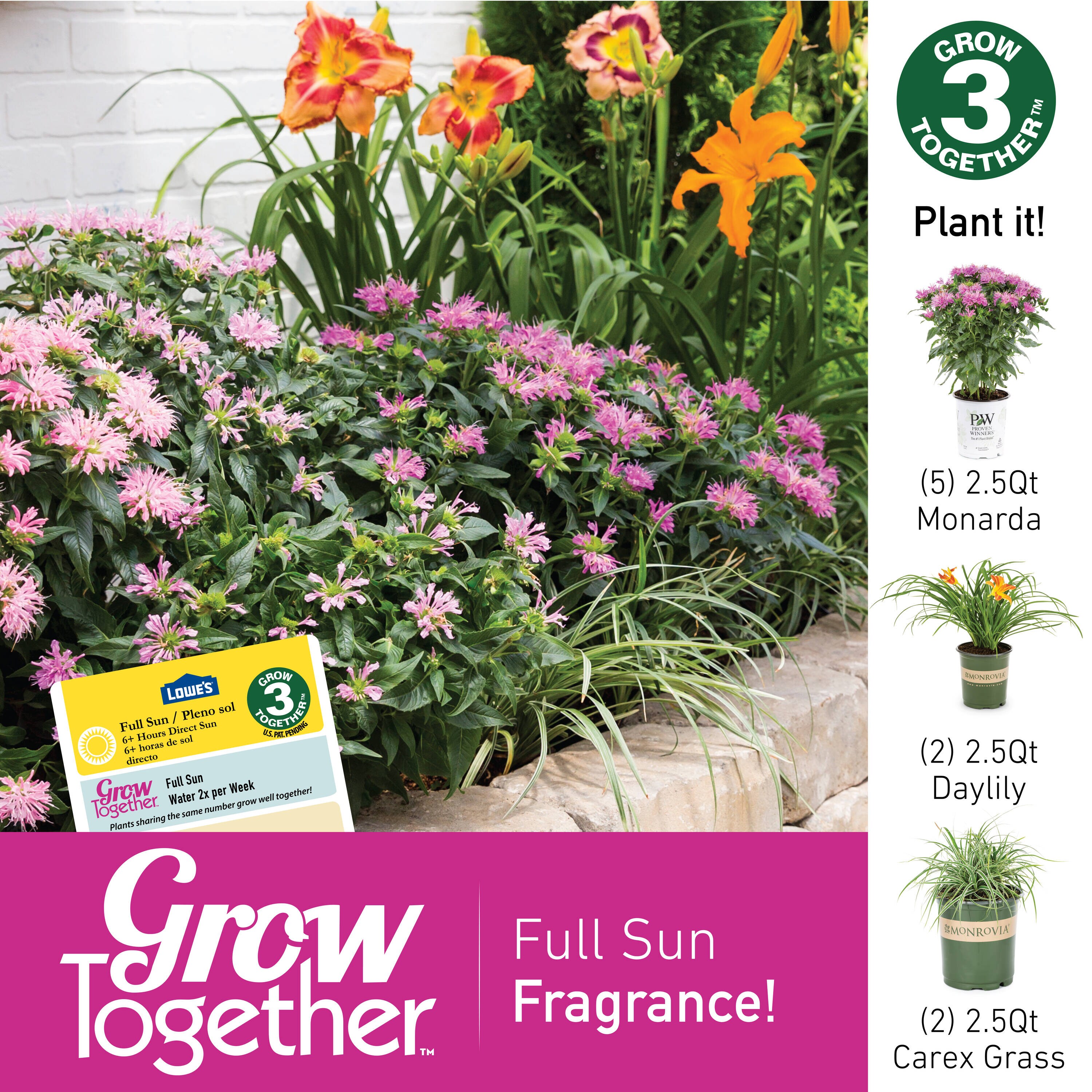 Proven Winners NURSERY perennials - View #3