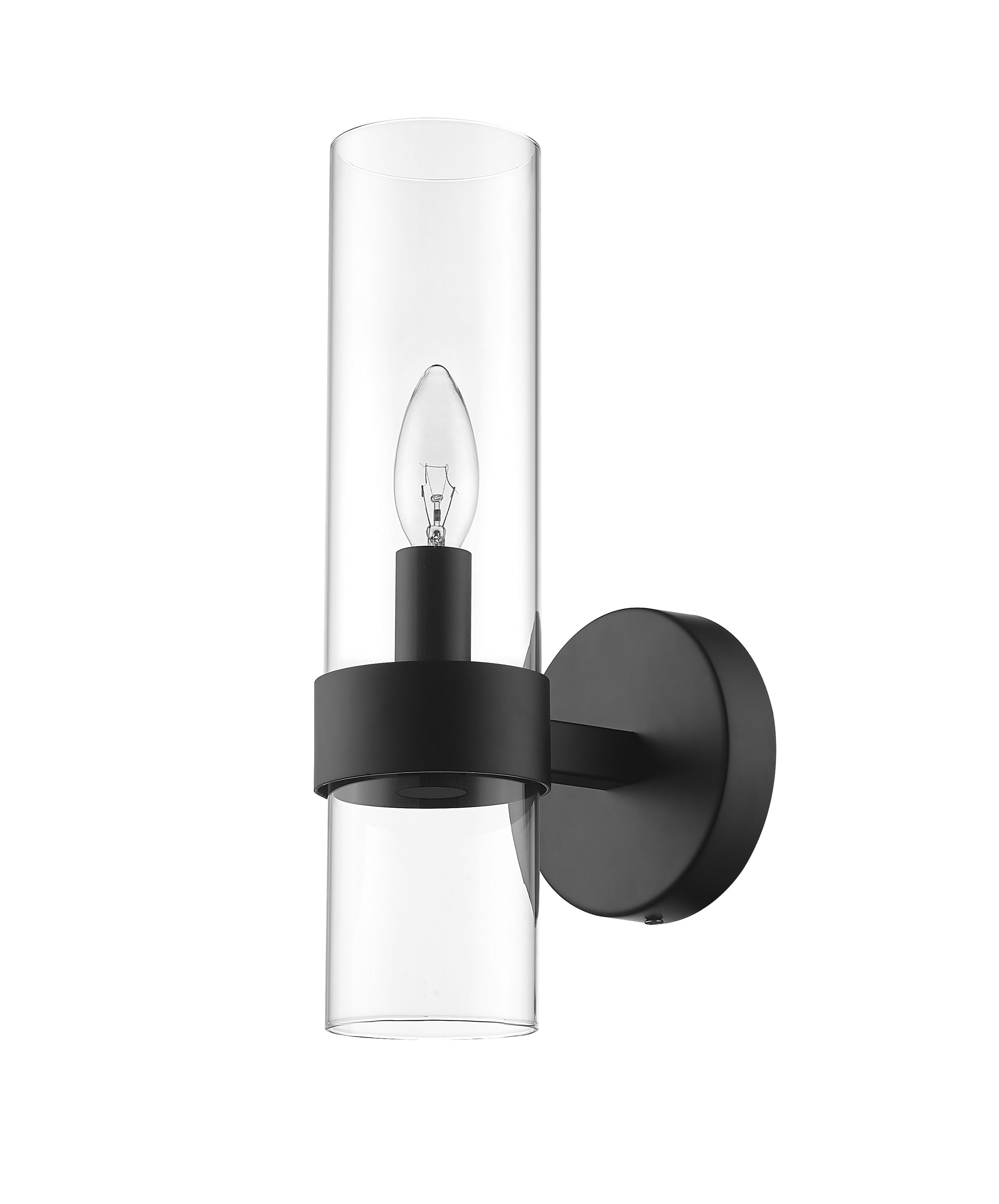 Matte Black Dimmable Steel Wall Sconce with Glass Shade