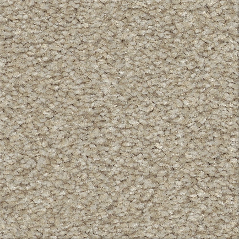 STAINMASTER PetProtect 7L92900137 with LeakDefense Splash Dance II Straw Flower Tan 73.1-oz sq yard Polyester Textured Indoor Carpet