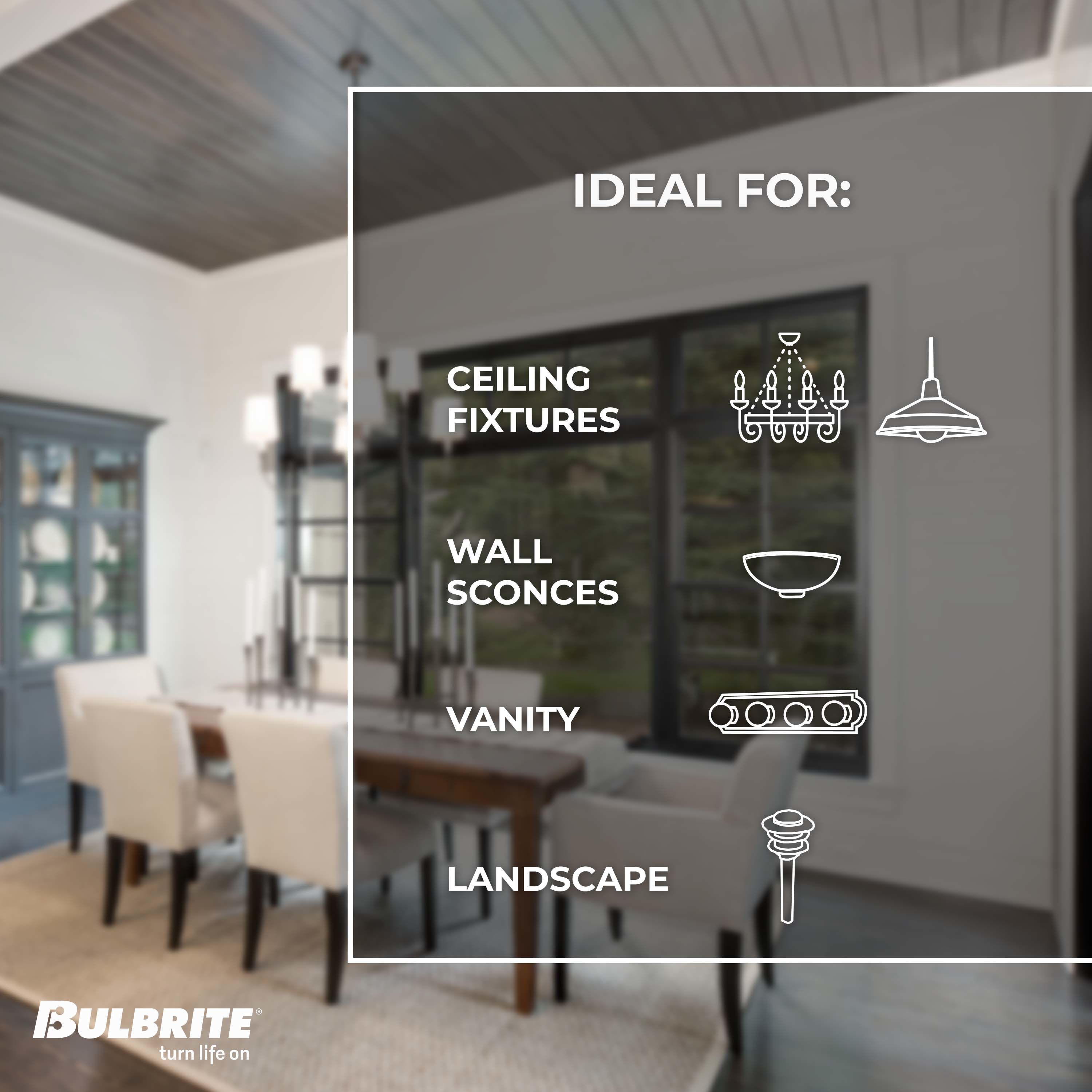Bulbrite 861526 Specialty-Light-Bulbs - View #5