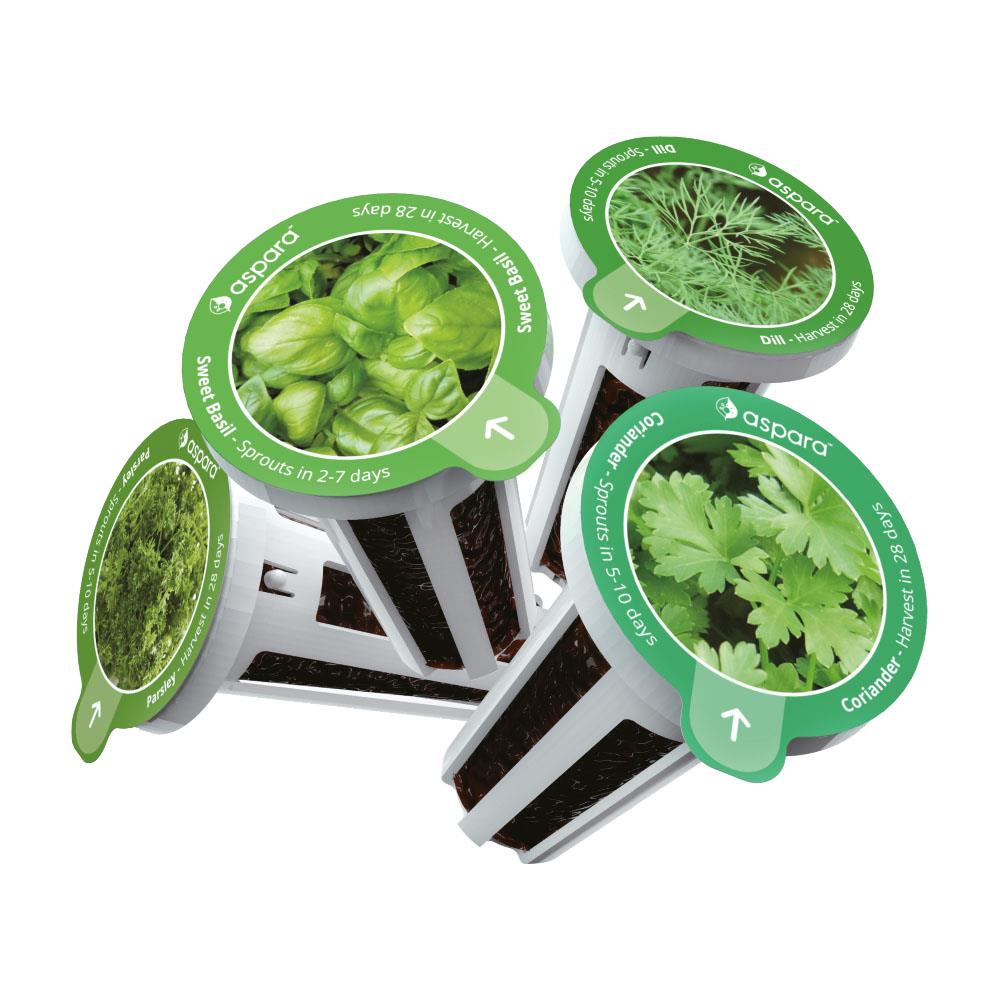 aspara KHS0001 Vegetable-Herb-Seeds - View #2