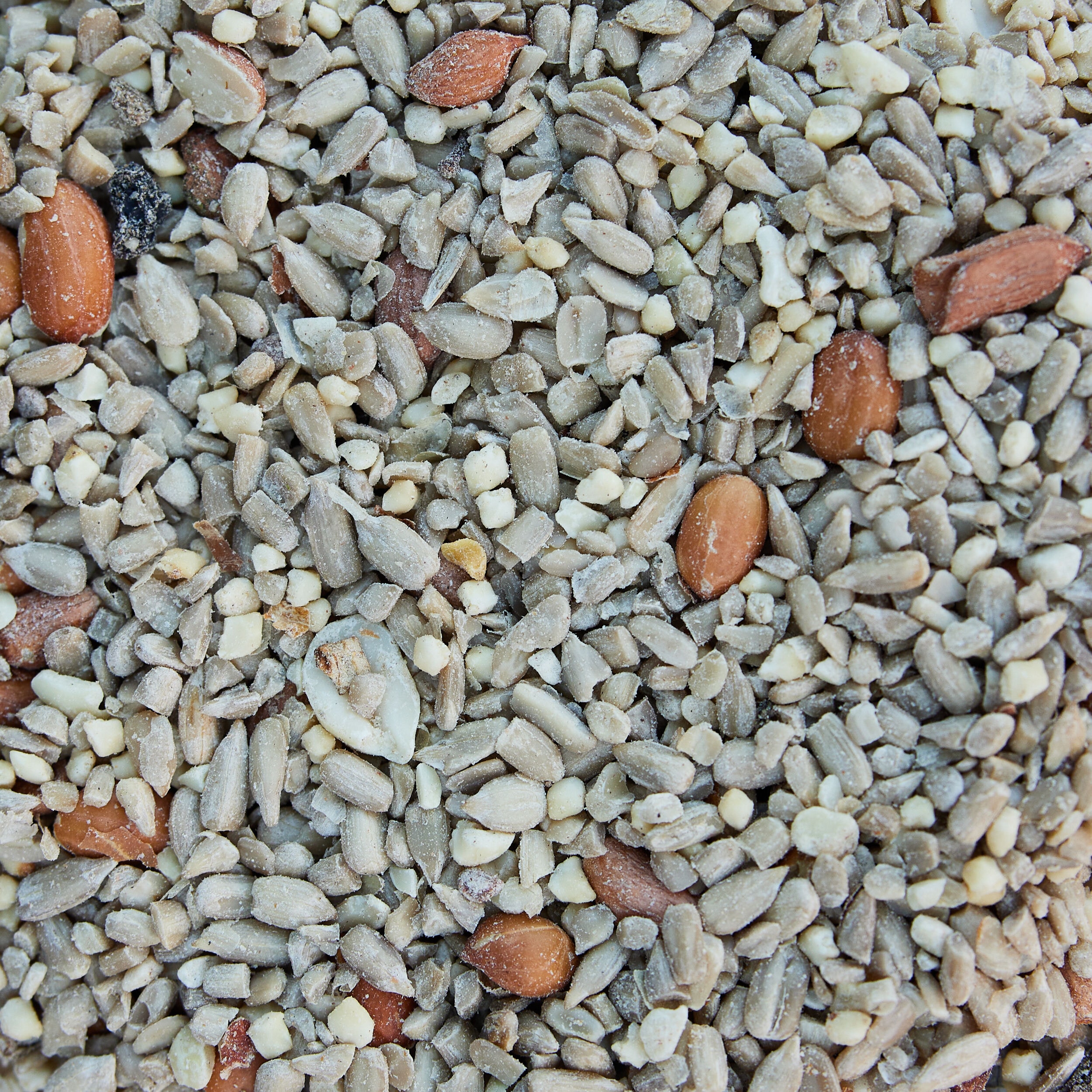National Audubon Society 001694 Bird-Squirrel-Food - View #12