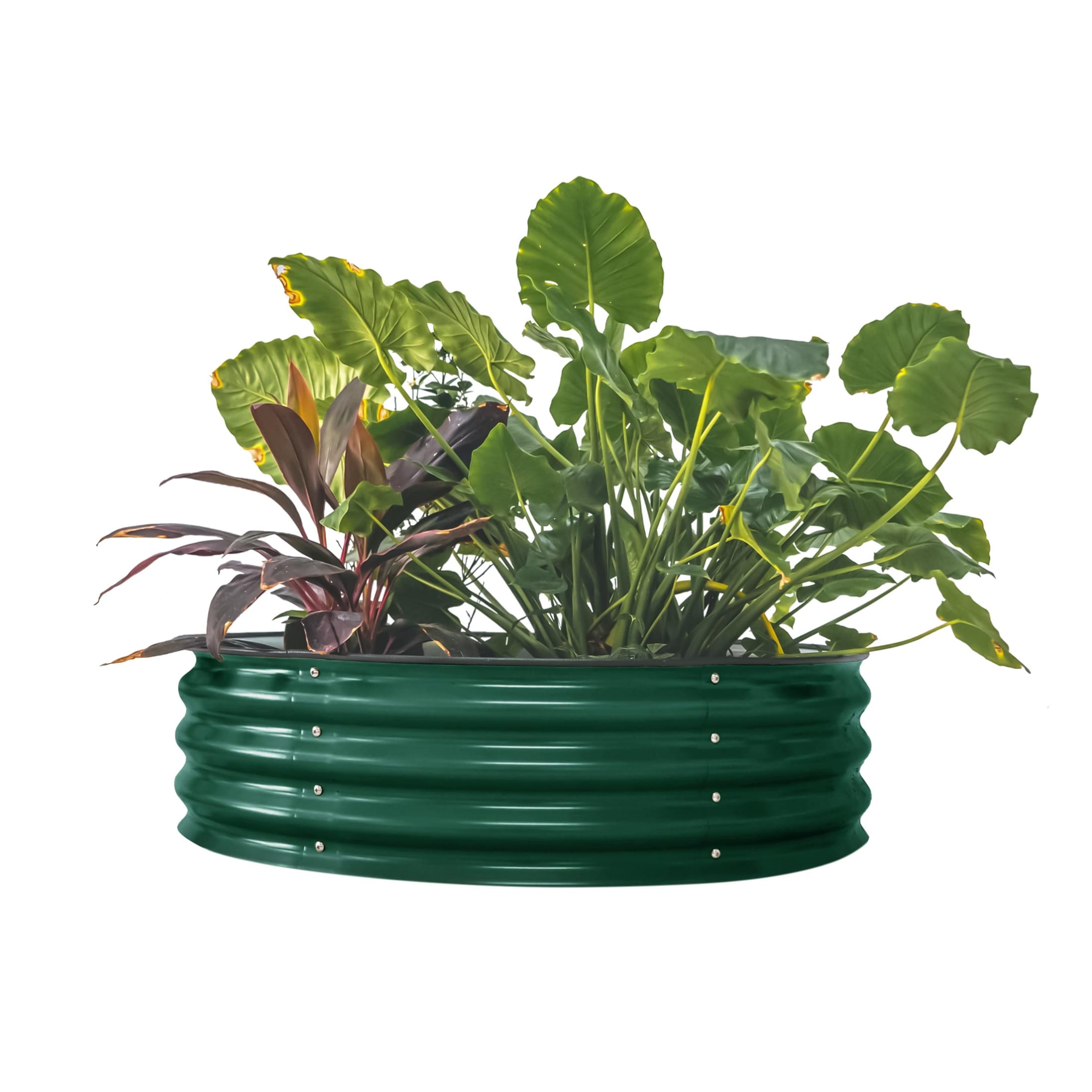 Vego Garden VRB4211BG 9-cu ft 42-in W x 42-in L x 11-in H British Green Galvanized Metal Raised Garden Bed