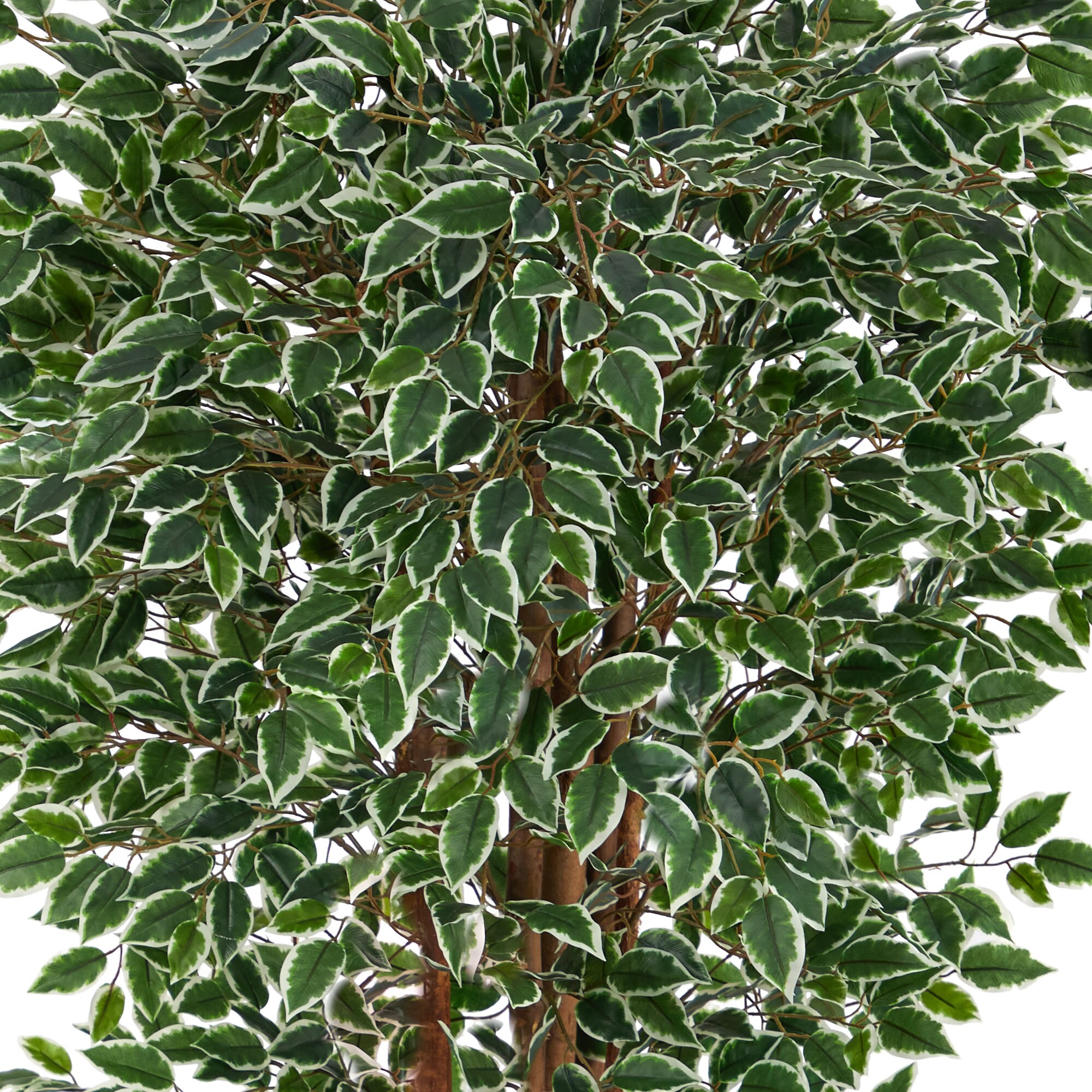 Nearly Natural T1860 Artificial-Plants-Trees - View #5