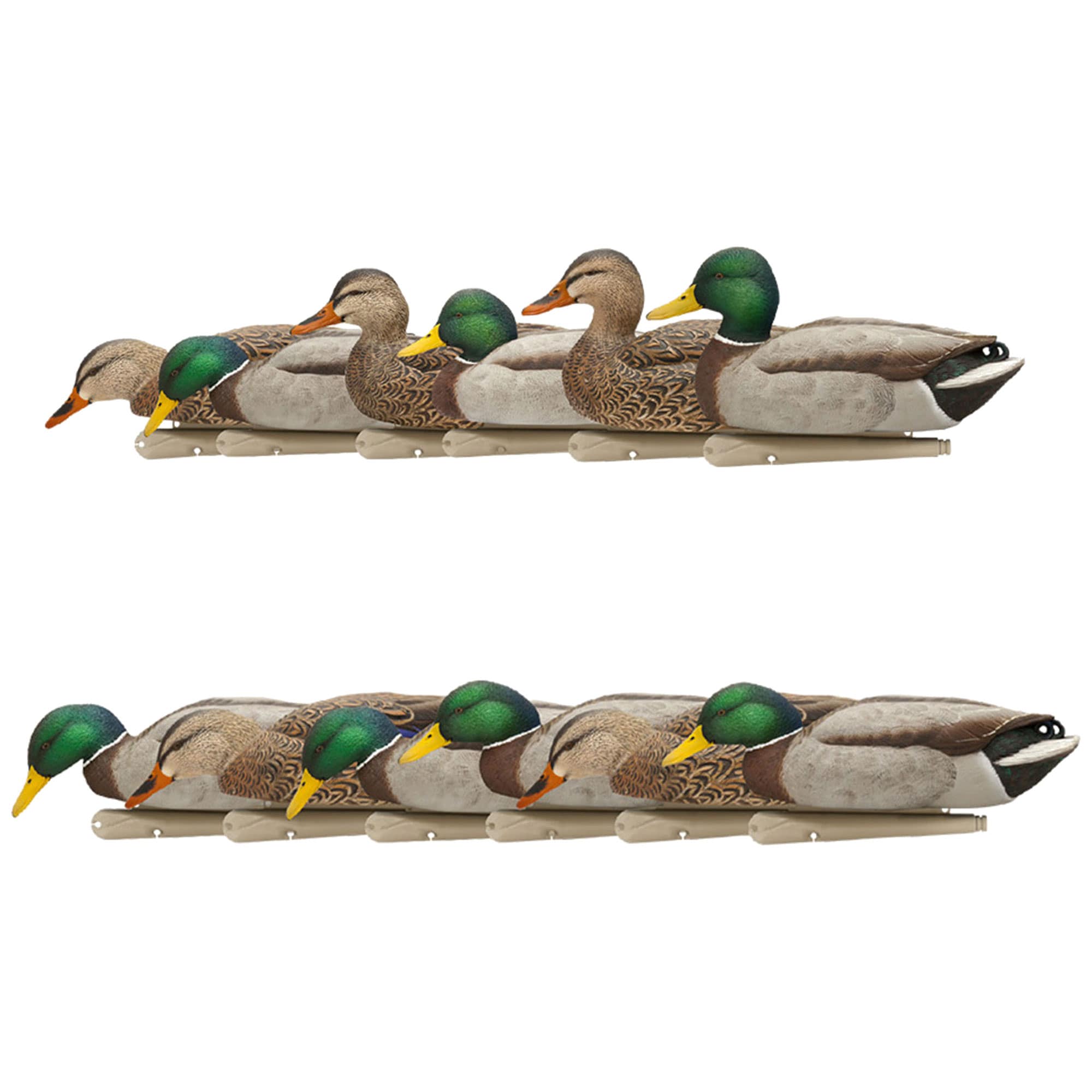  Avian X 408598 18.30 x 16 x 12.50 Inche(s) Decoy 2 -Pack