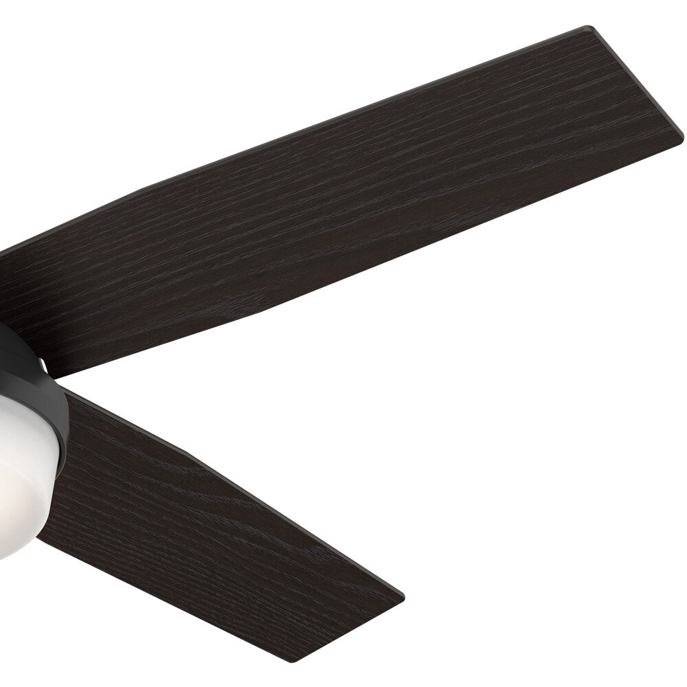 Hunter 59251 Ceiling-Fans - View #7