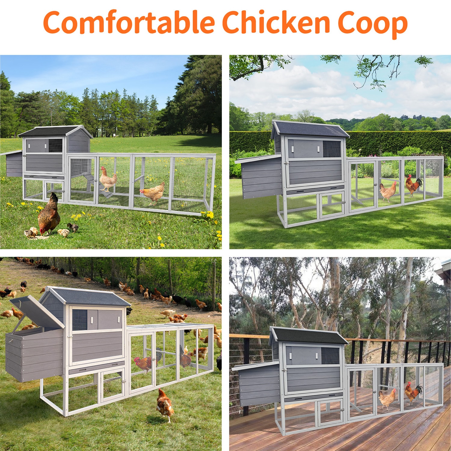 GZMR GZ-W2231 Chicken-Coops-Rabbit-Hutches - View #8
