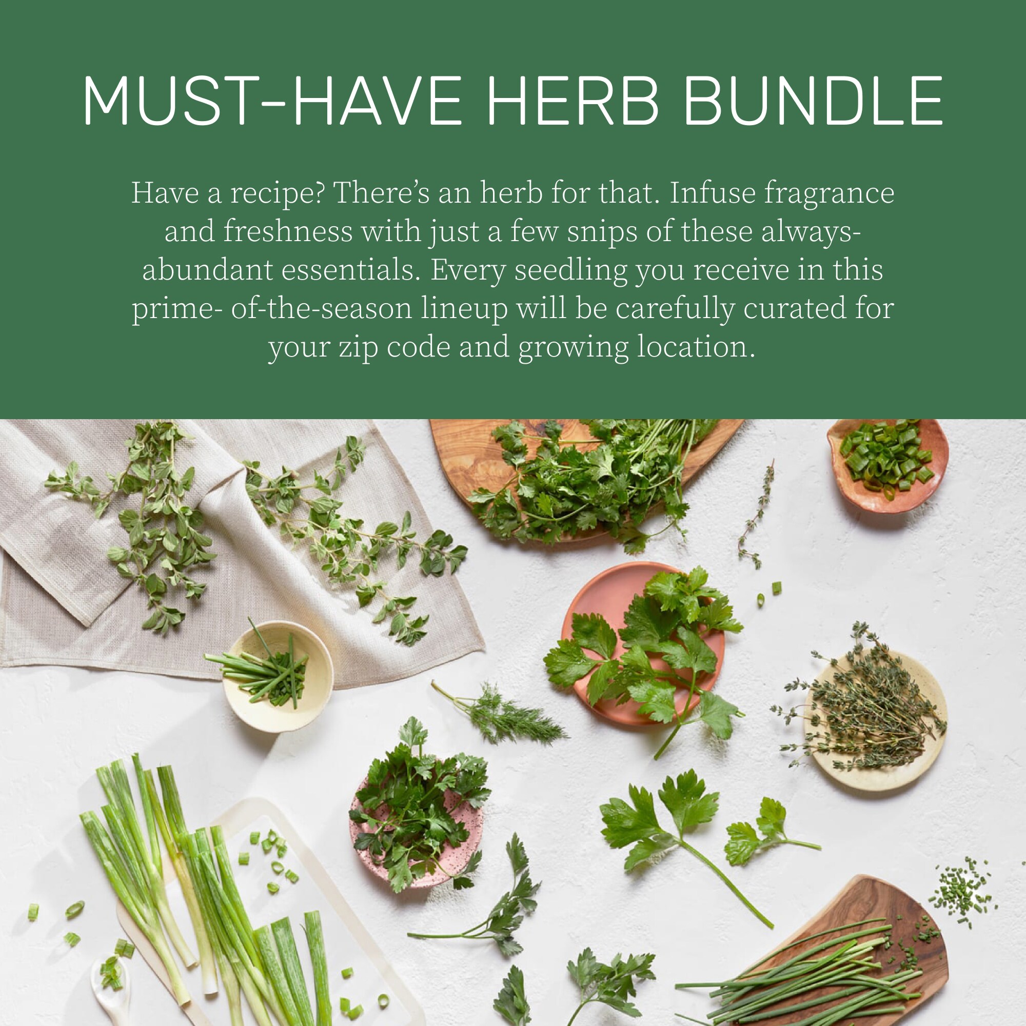 Seasonal Vegetable Bundle