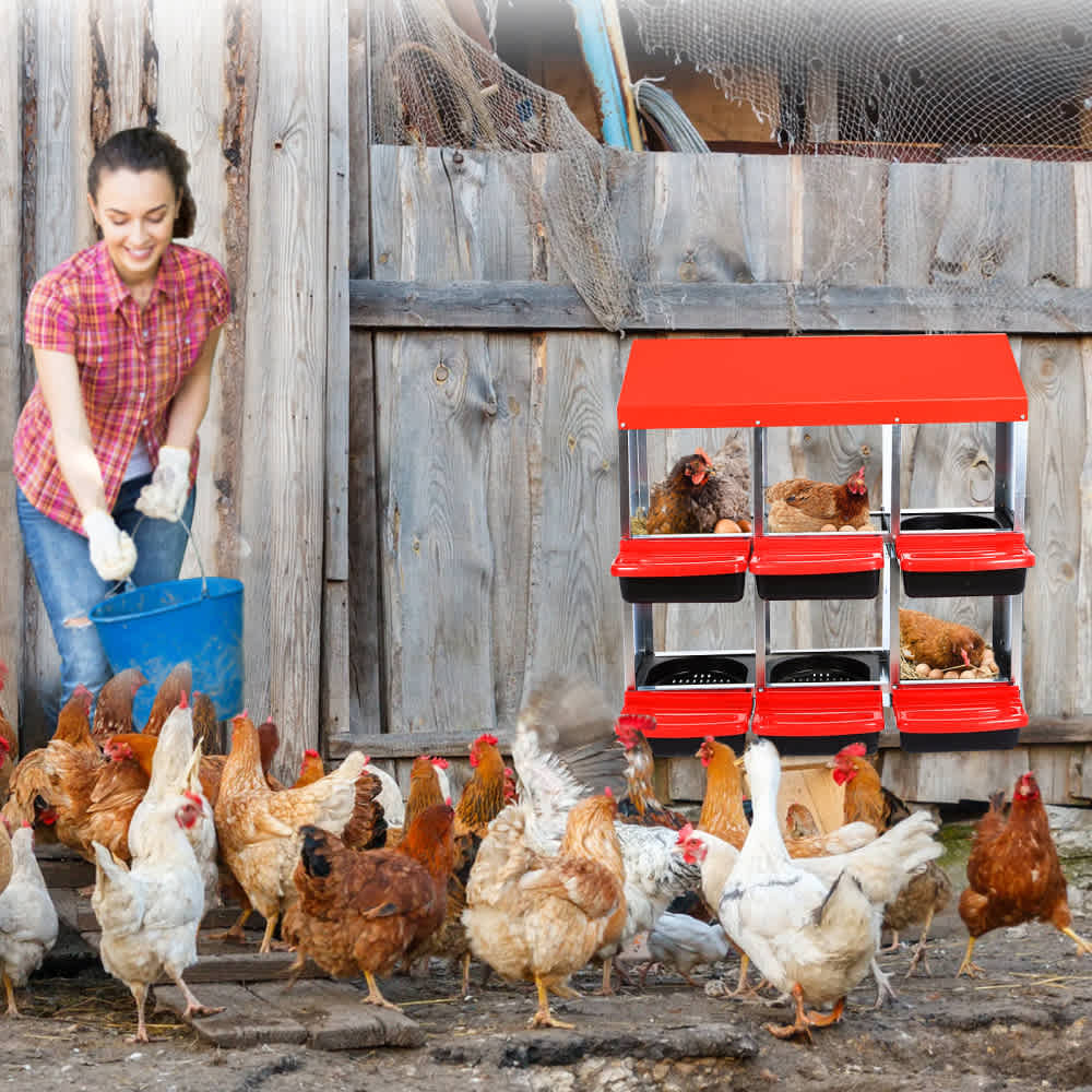 Qeetex WLS-PHO-15FE4V38 Chicken-Coops-Rabbit-Hutches - View #7