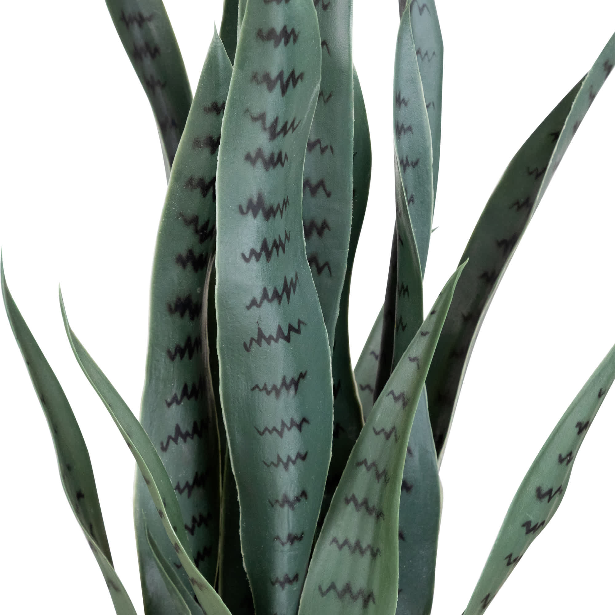 Northlight NORTHLIGHT WN26584 Artificial-Plants-Trees - View #4