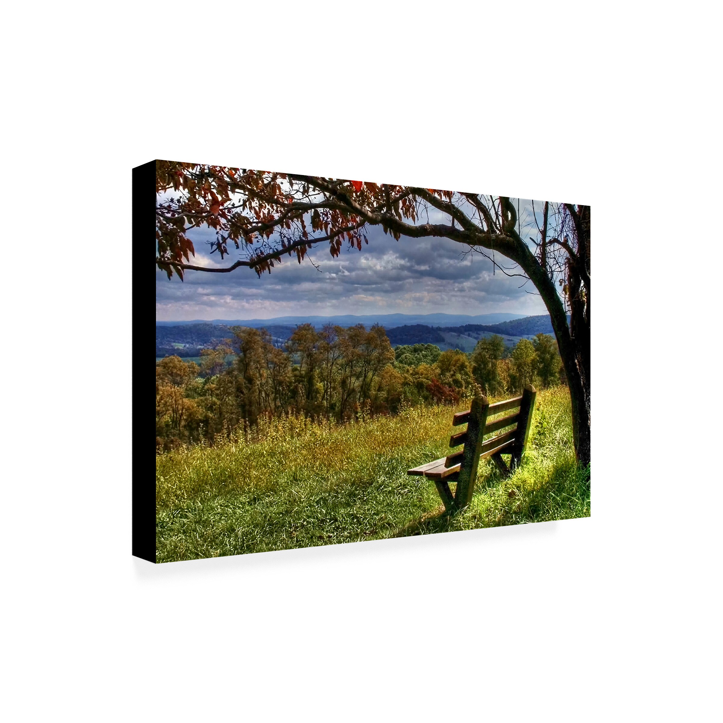 Trademark Fine Art MZ015-C2232GG Wall-Art - View #3