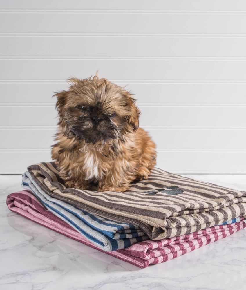 DII CAMZ36573 Pet-Grooming-Supplies - View #3
