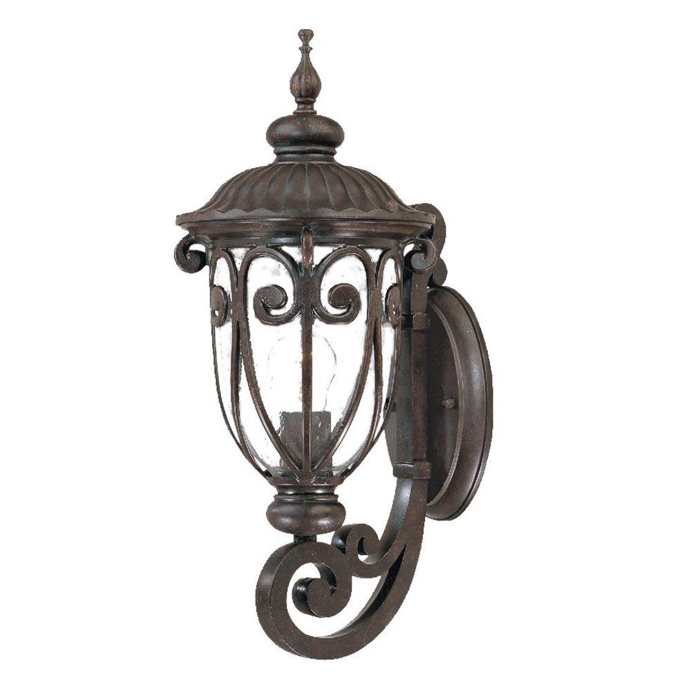 Acclaim Lighting 2101MM Naples 1 -Light 18.0-in H Black Hardwired Outdoor Wall Light