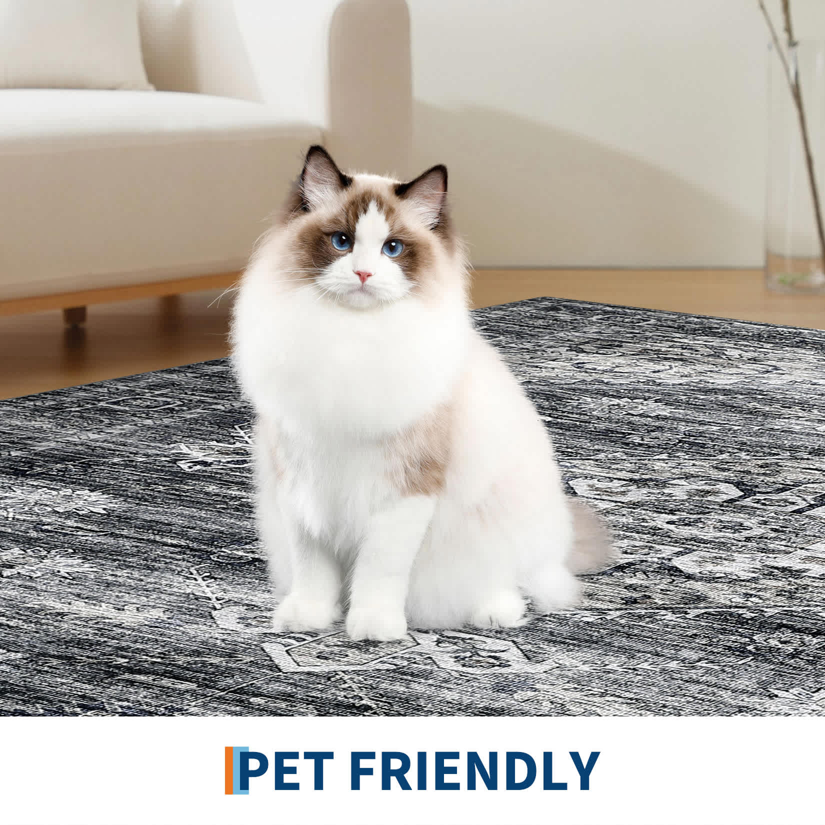 Qeetex LSN-PHK-33EUADYH rugs - View #7