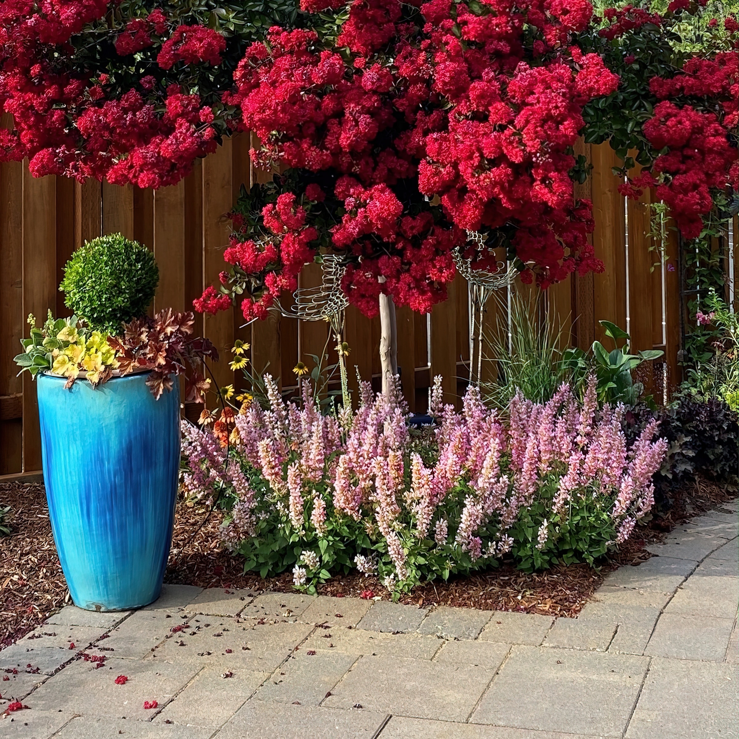 National Plant Network LW1518 perennials - View #5