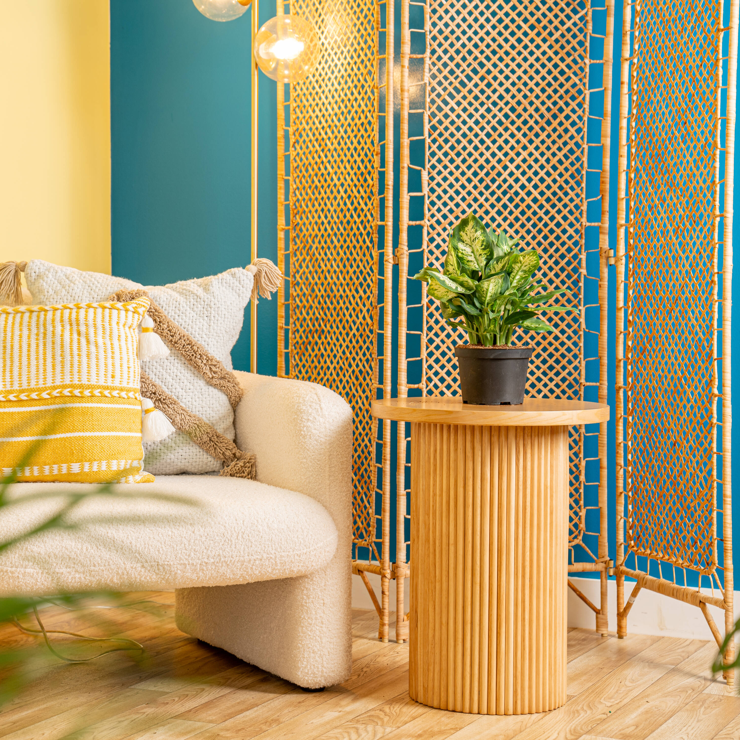 Costa Farms 921909 hseplants - View #3