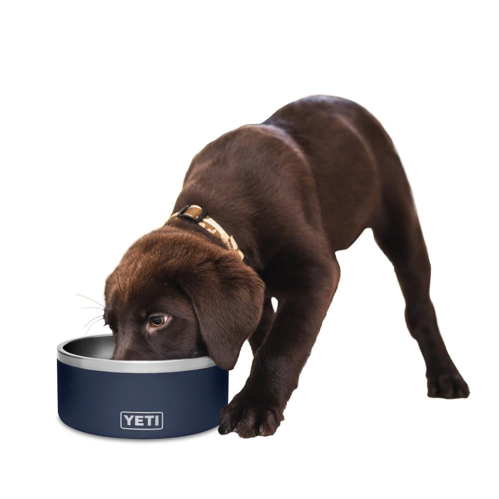 YETI Boomer Nordic Blue Stainless Steel 8 cups Pet Bowl For Dogs - Ace  Hardware