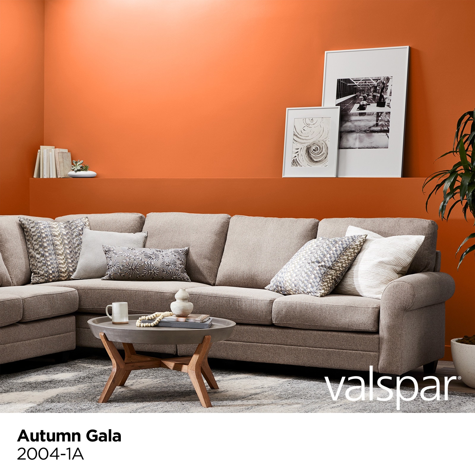 Valspar 2004-1A-28328 Int-Ext-Paint - View #2