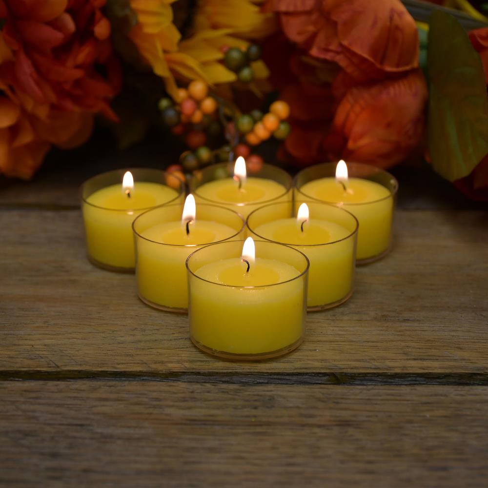 LumaBase 31430 Citronella-Candles - View #2