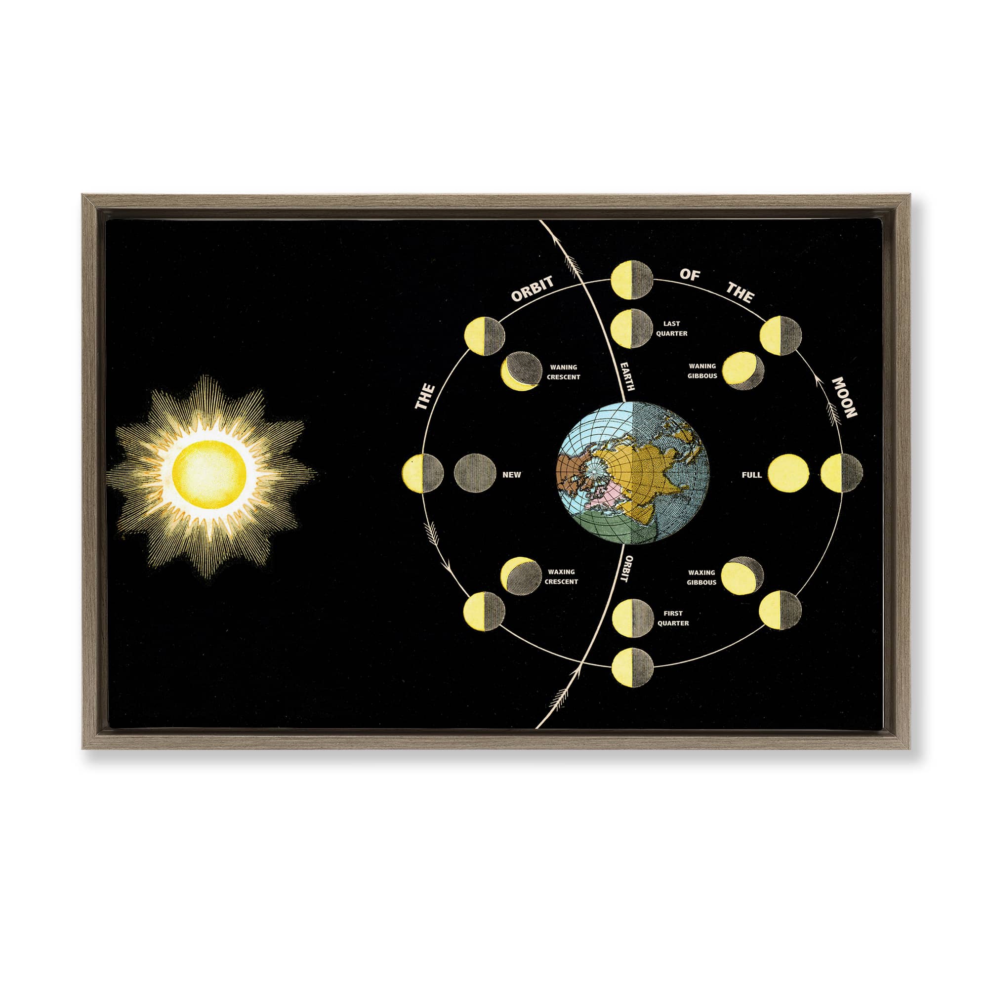 Stupell Industries BT-485-FFE-20X30 Moon's Orbit and Phases Floating Frame design by Phillipa Katz