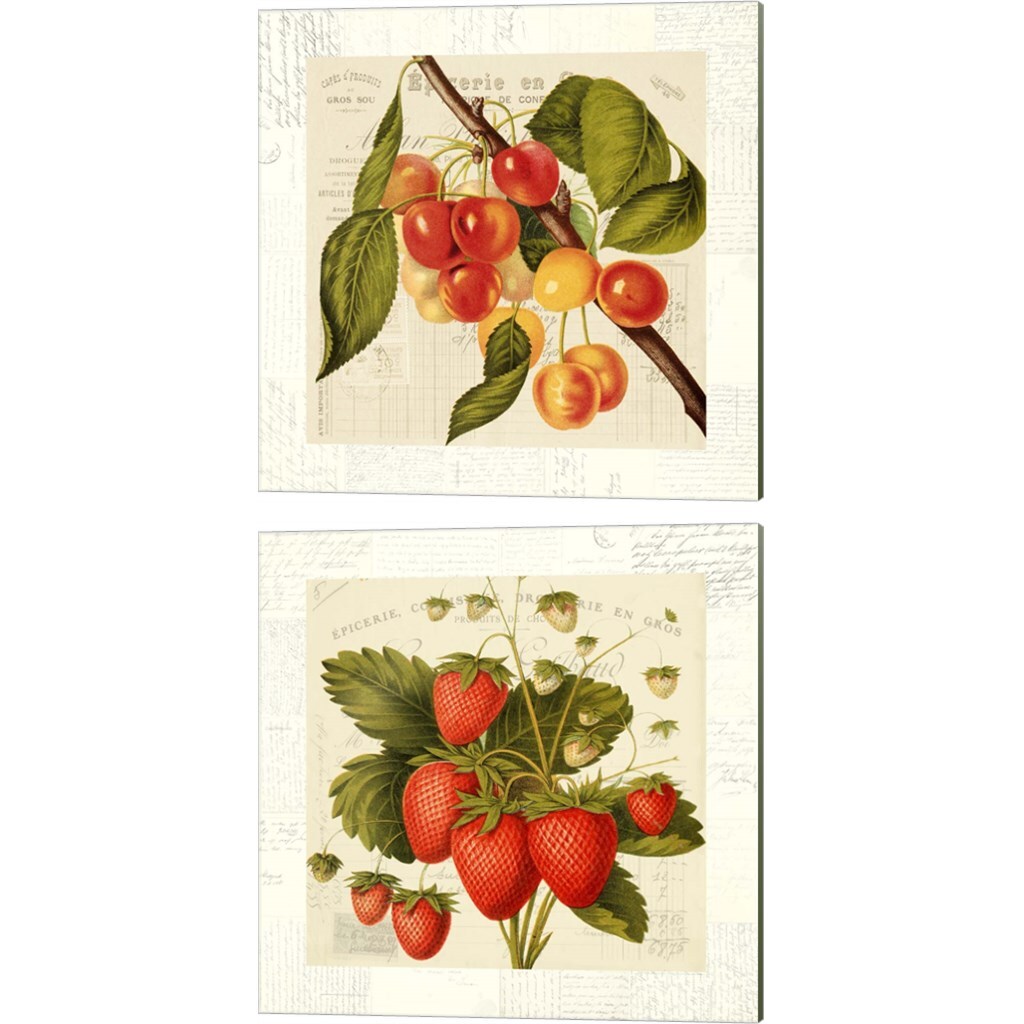 Metaverse Corporation PLI761702 Cerises and Fraises Remy Dellal 14-in H x 14-in W Kitchen Print on Canvas