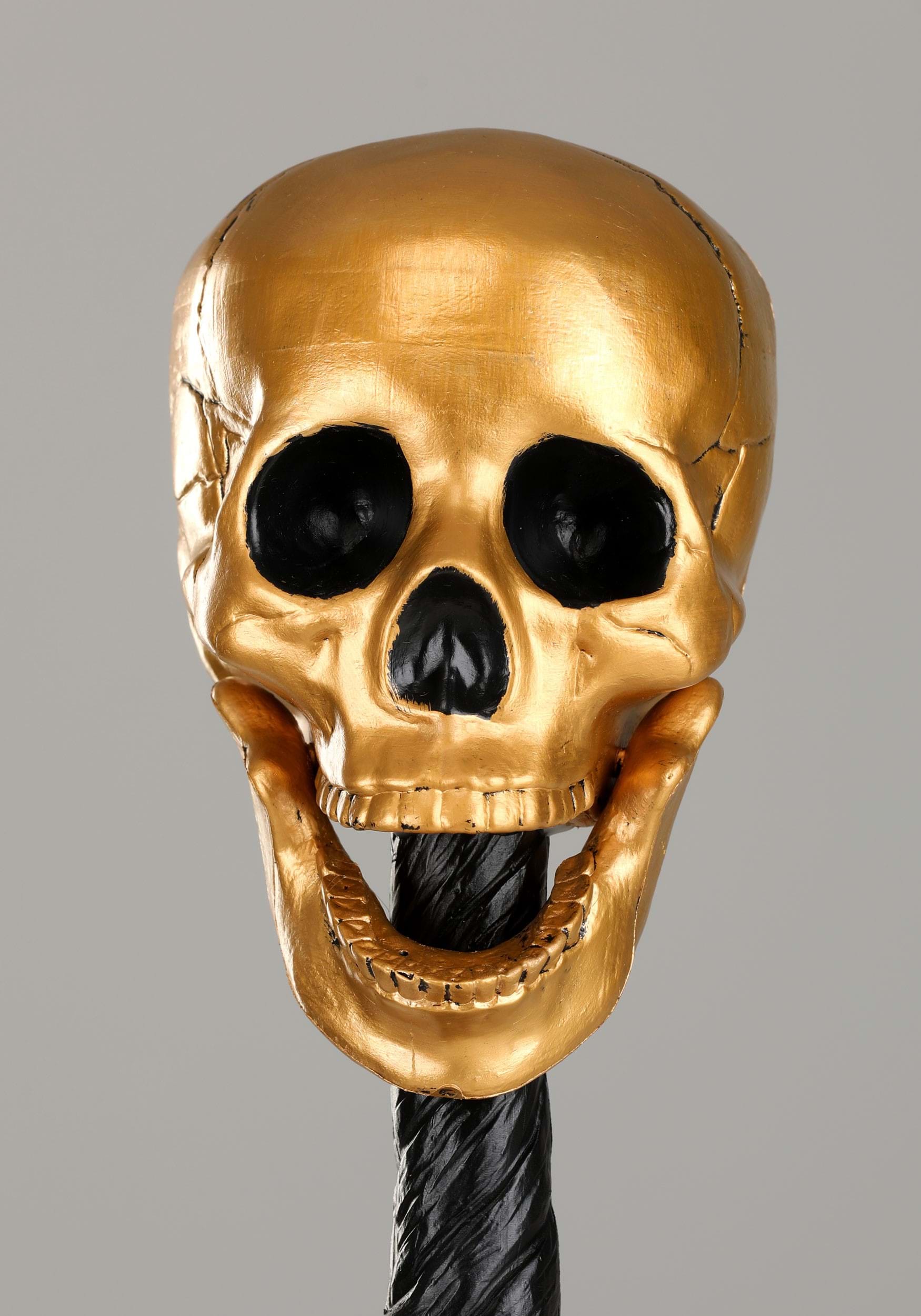 HalloweenCostumes.com FUN3121GD costumes - View #3