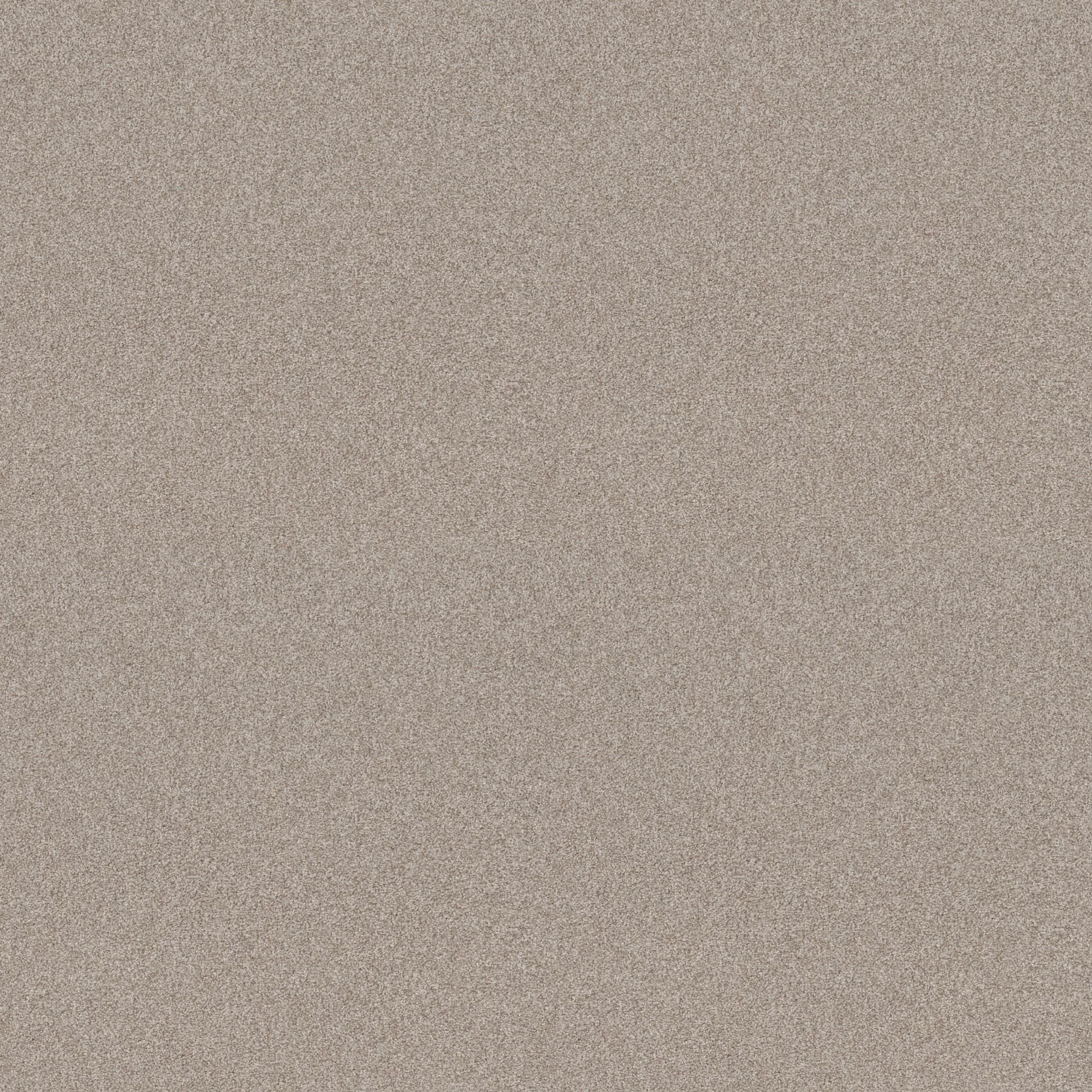 STAINMASTER PetProtect 7L907 - 108 - SAMP (Sample) Paws Down II Fossil Path Brown 43.9-oz sq yard Nylon Textured Indoor Carpet