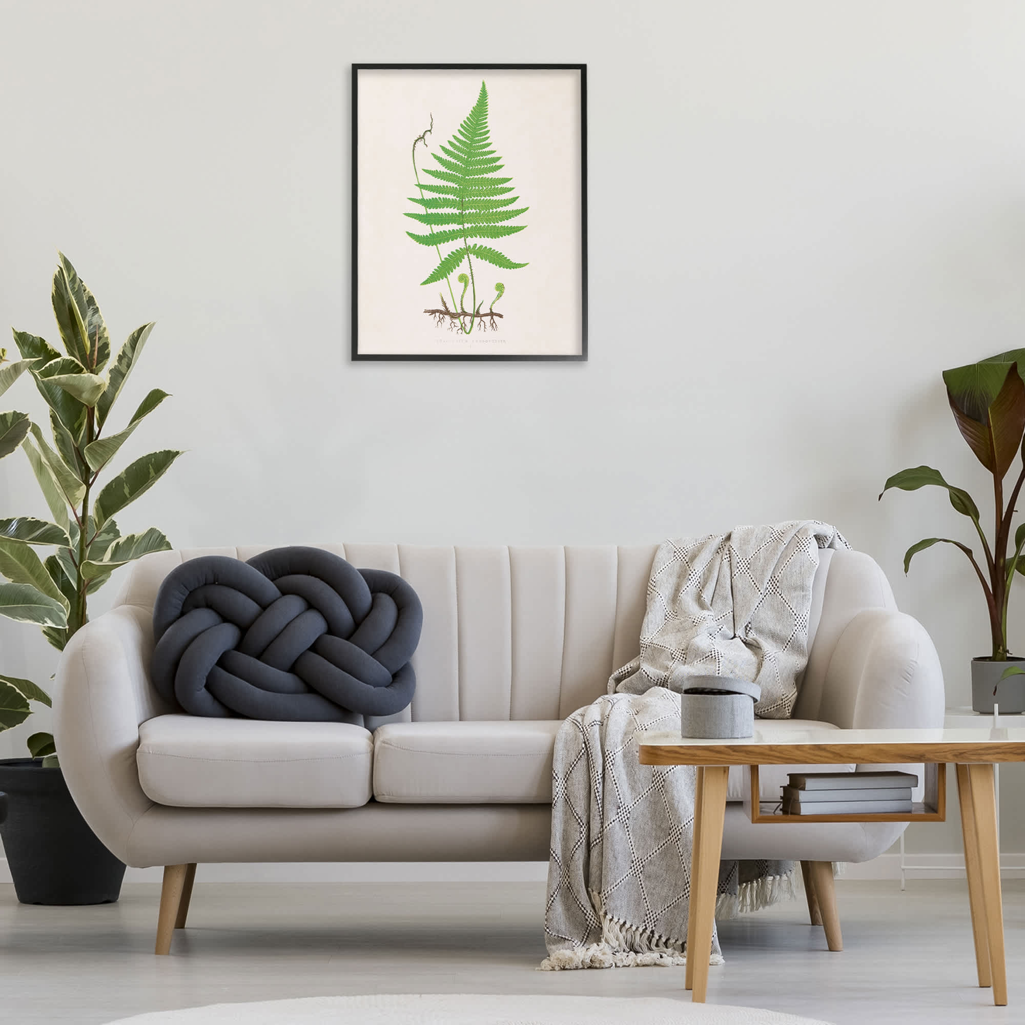 Stupell Industries BT-469-FR-24X30 Wall-Art - View #3