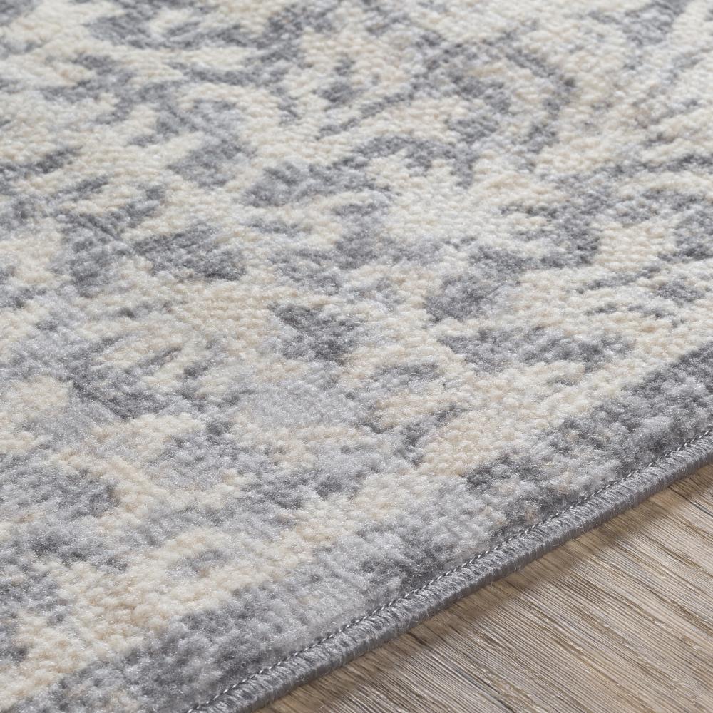 Surya CYL2326-5373 rugs - View #5