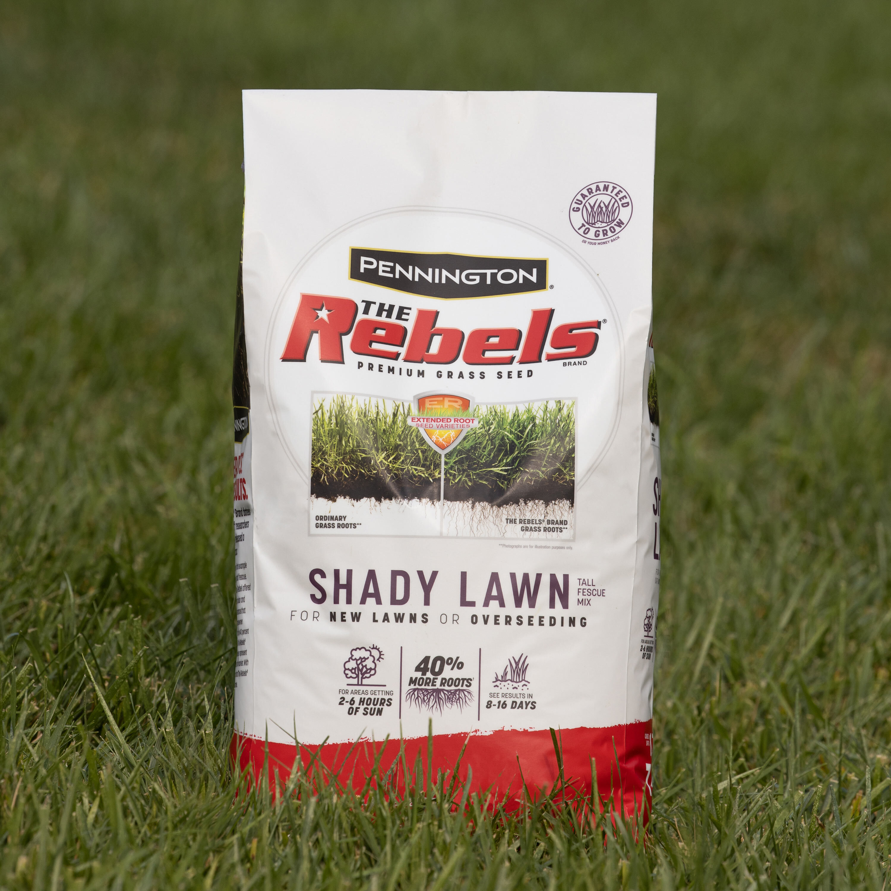 Pennington 2149602286 Grass-Seed - View #10