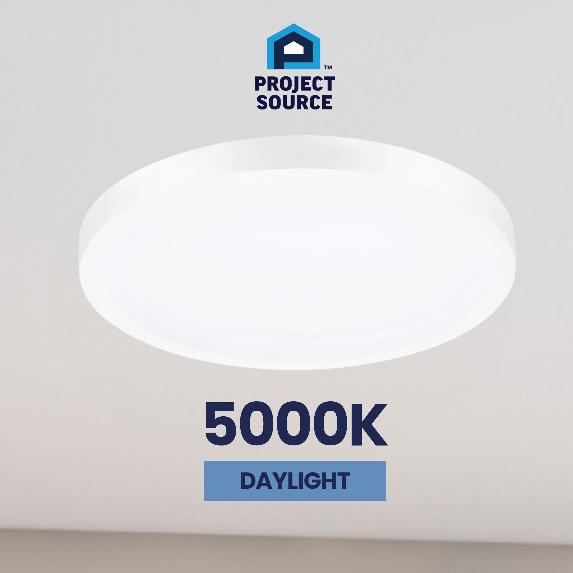 Project Source 43542 flushmounts - View #11