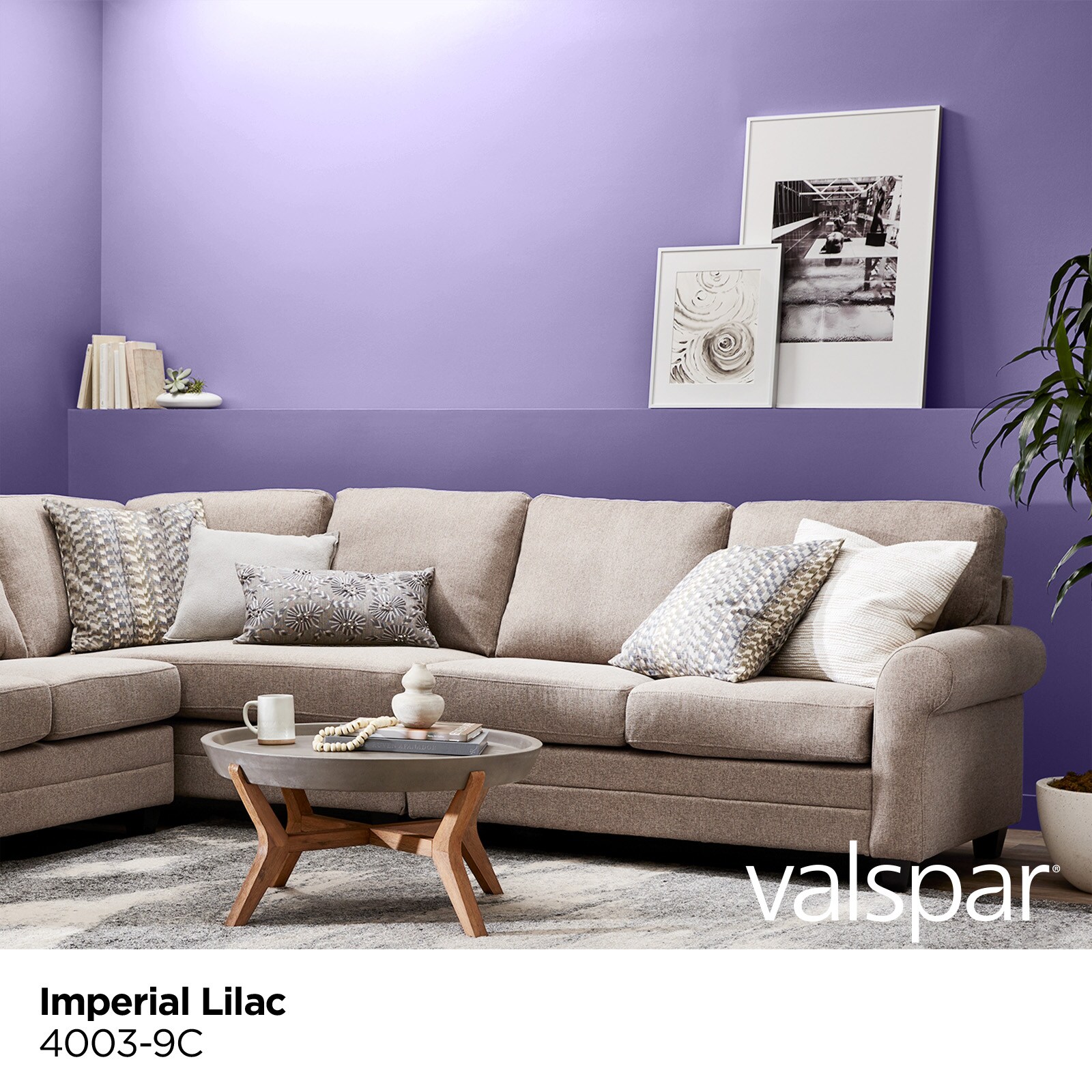 Valspar 4003-9C-2916585 Int-Ext-Paint - View #2