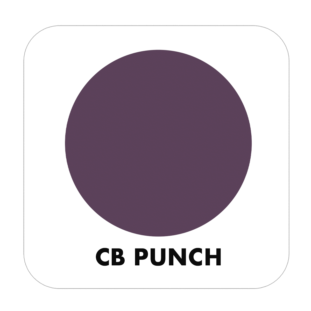 Color Baggage PUNCH-POD-SAT-G Door-Trim-Paint - View #2