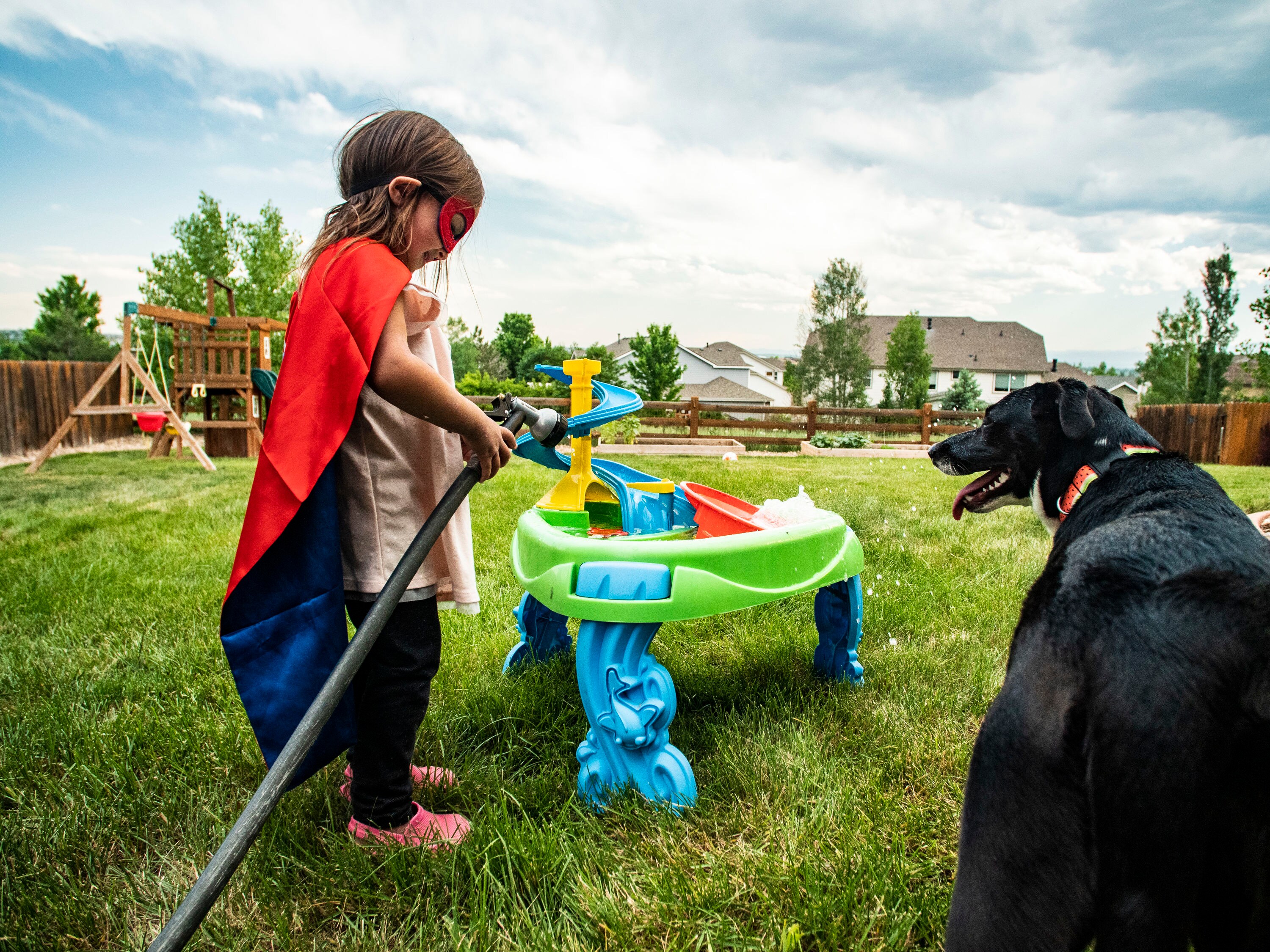 can grass seeds kill dogs