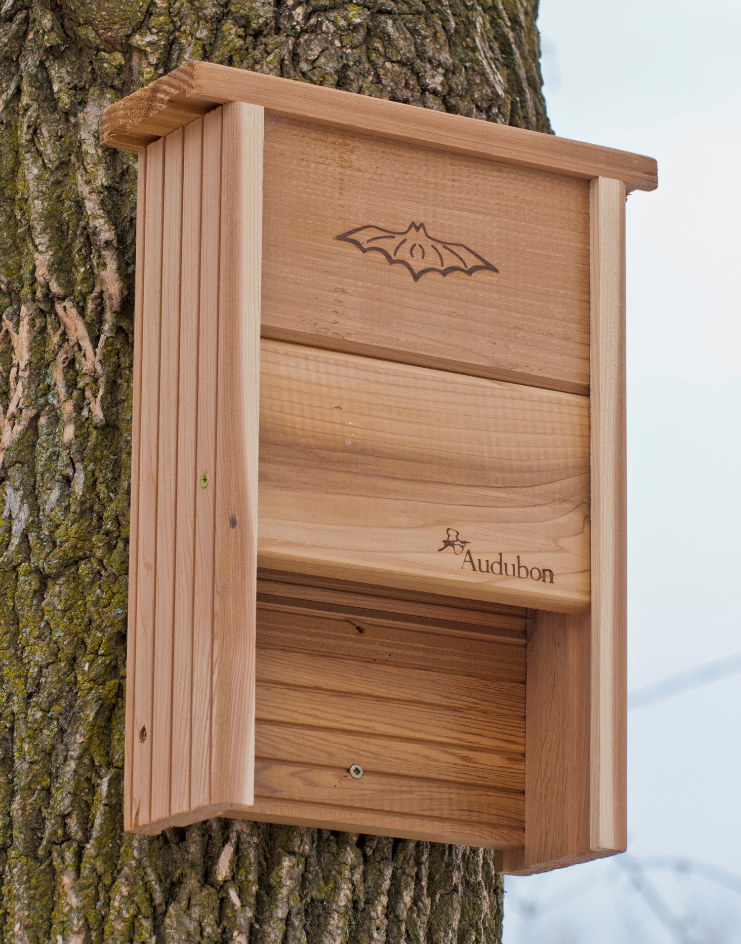 National Audubon Society 24228L Bee-Houses - View #4