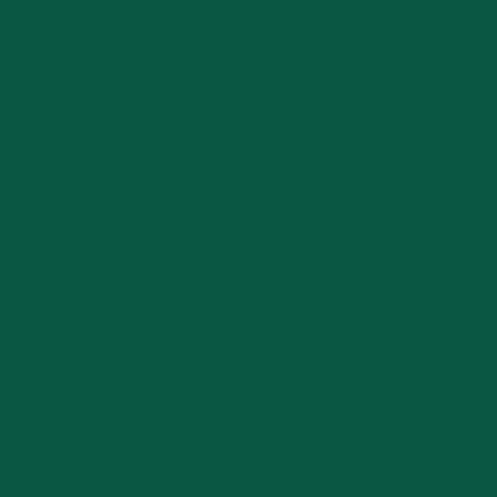 Krylon K05816007 Spray-Paint - View #3