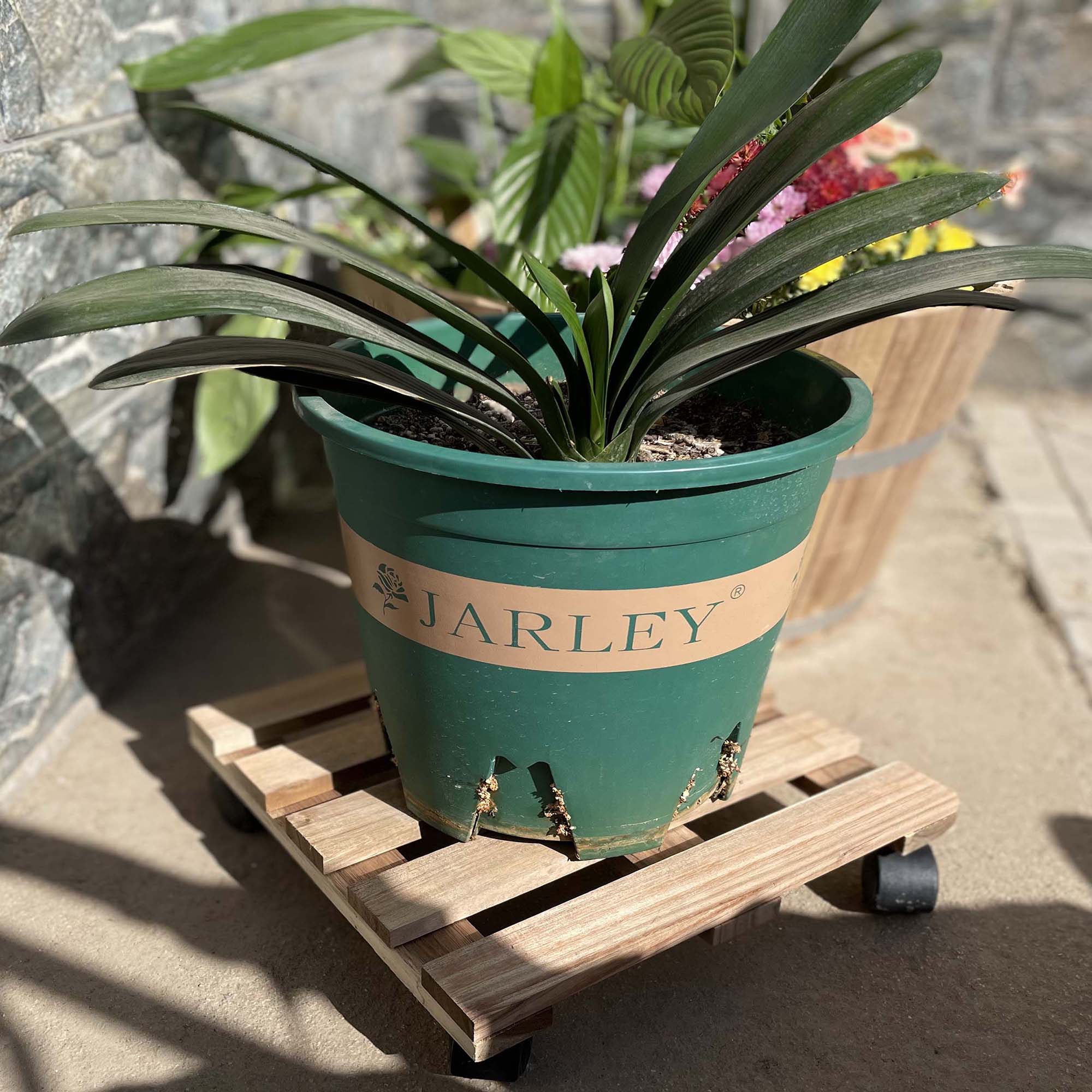 Style Selections TA202130A Plant-Caddy-Cart - View #4