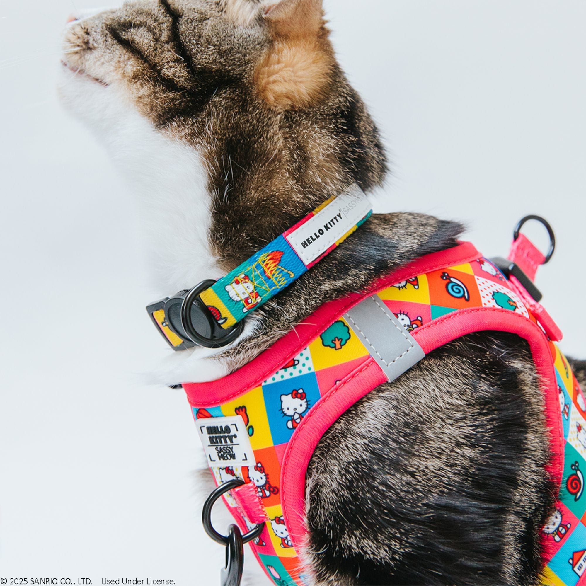 Sassy Meow PINK H KITTY H S Dog-Collars-Harnesses - View #4