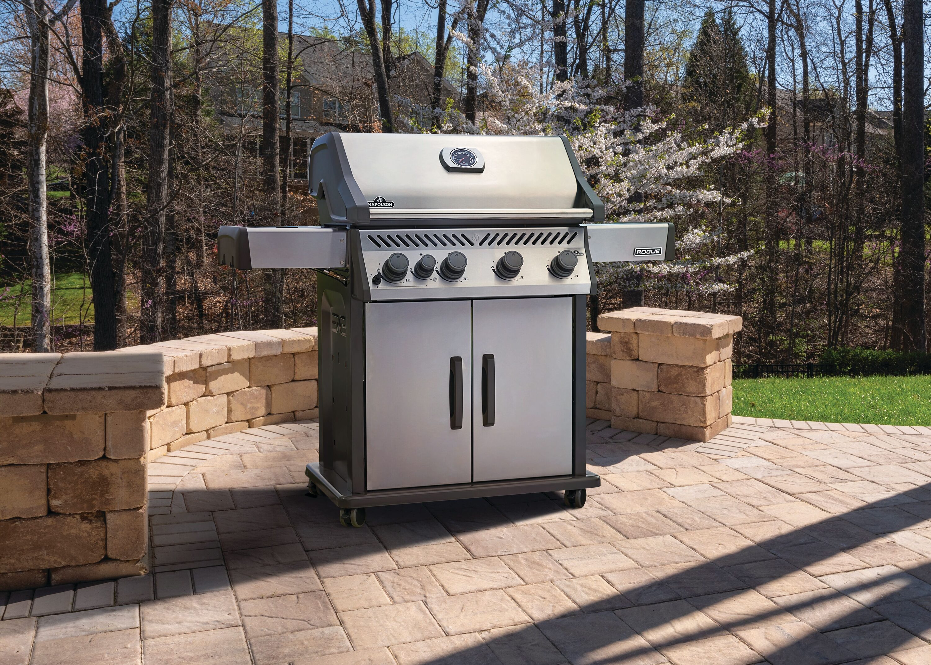 NAPOLEON R525SBPSS-2-FB Gas-Grill - View #2