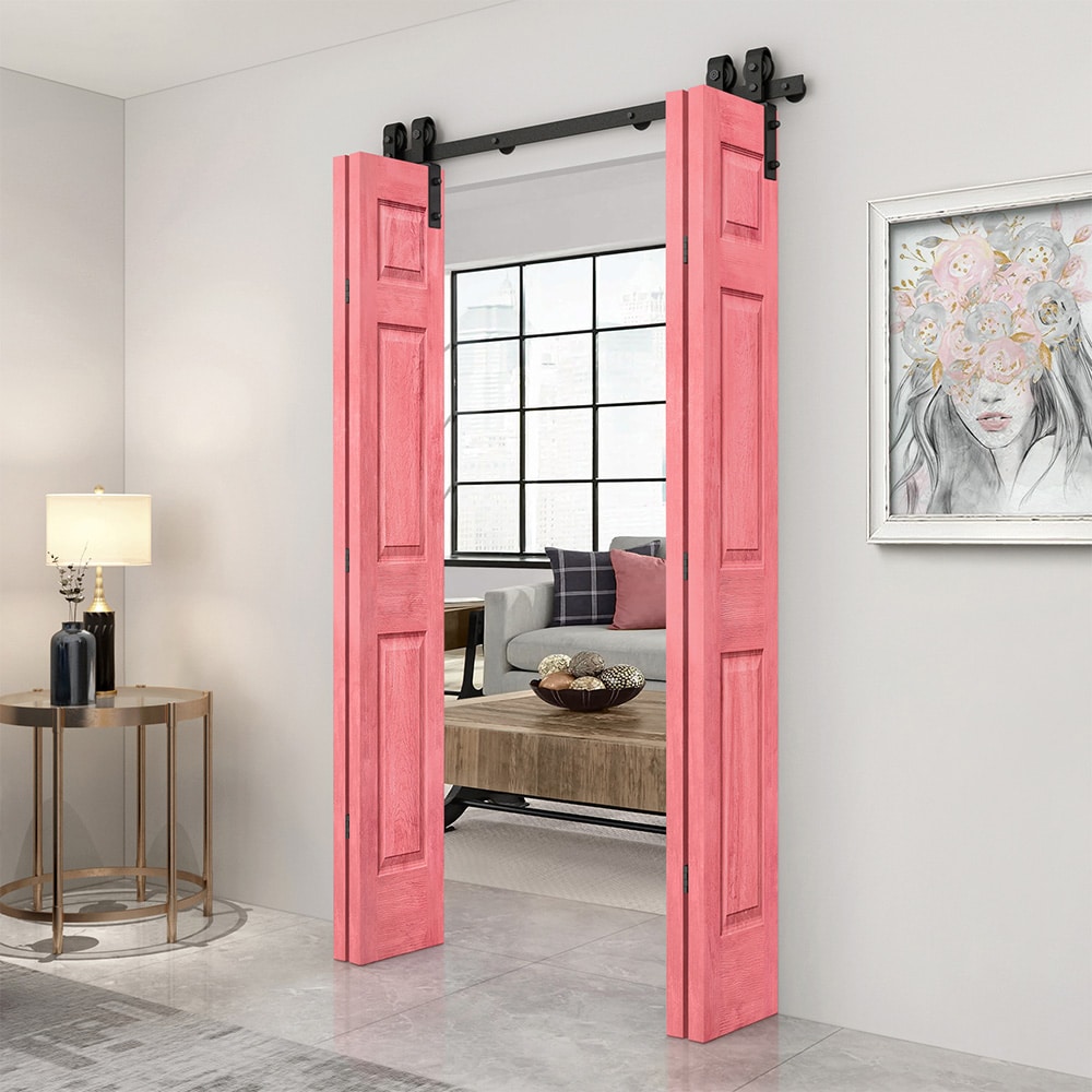 CALHOME 4S-19+6P84X36BRSC(2 Barn-Doors - View #2