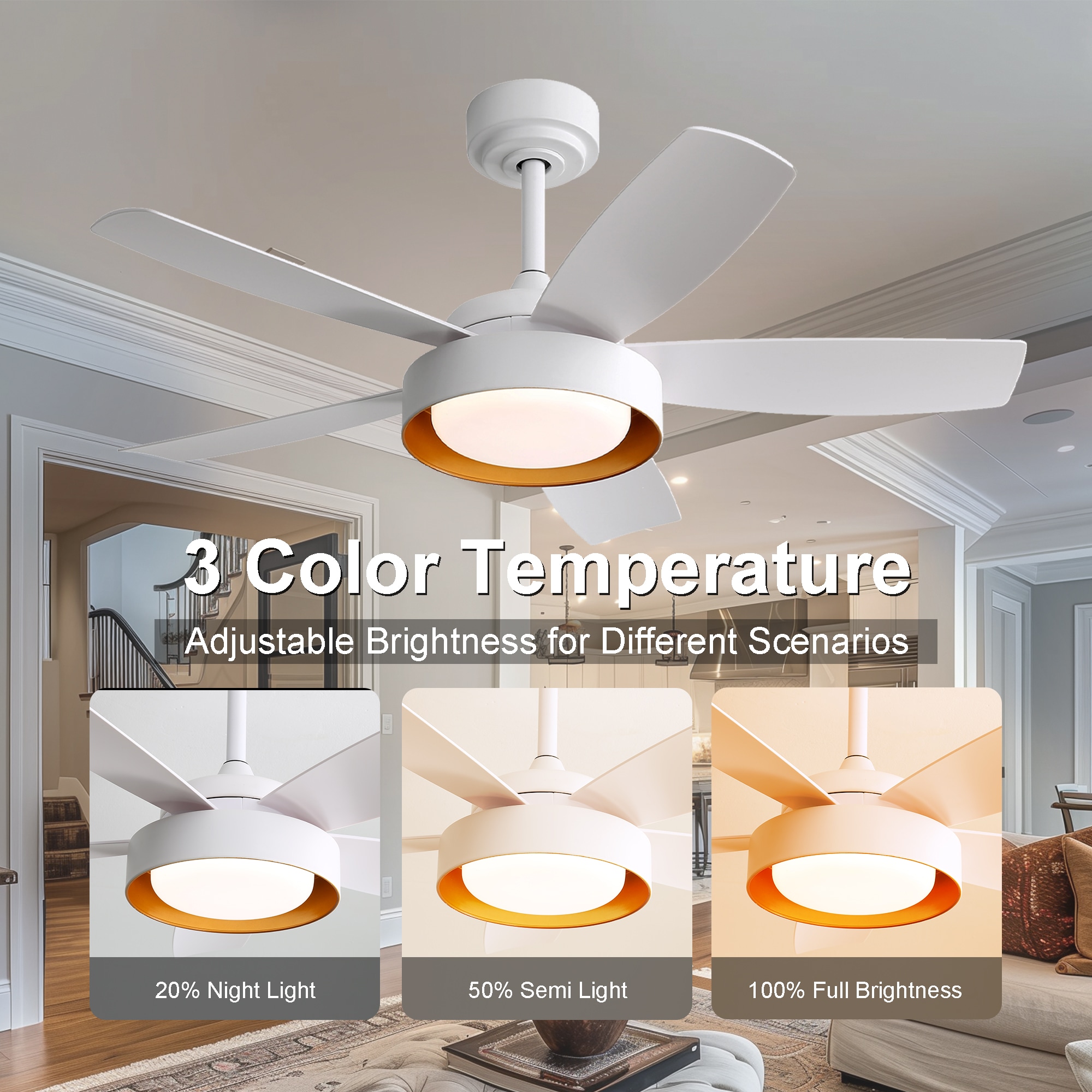 Sunrinx MG9-CF-14 Ceiling-Fans - View #4