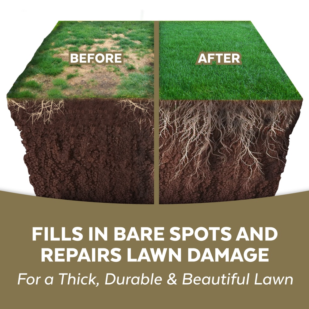 Mountain View Seeds 113730 Lawn-Repair-Mix - View #3