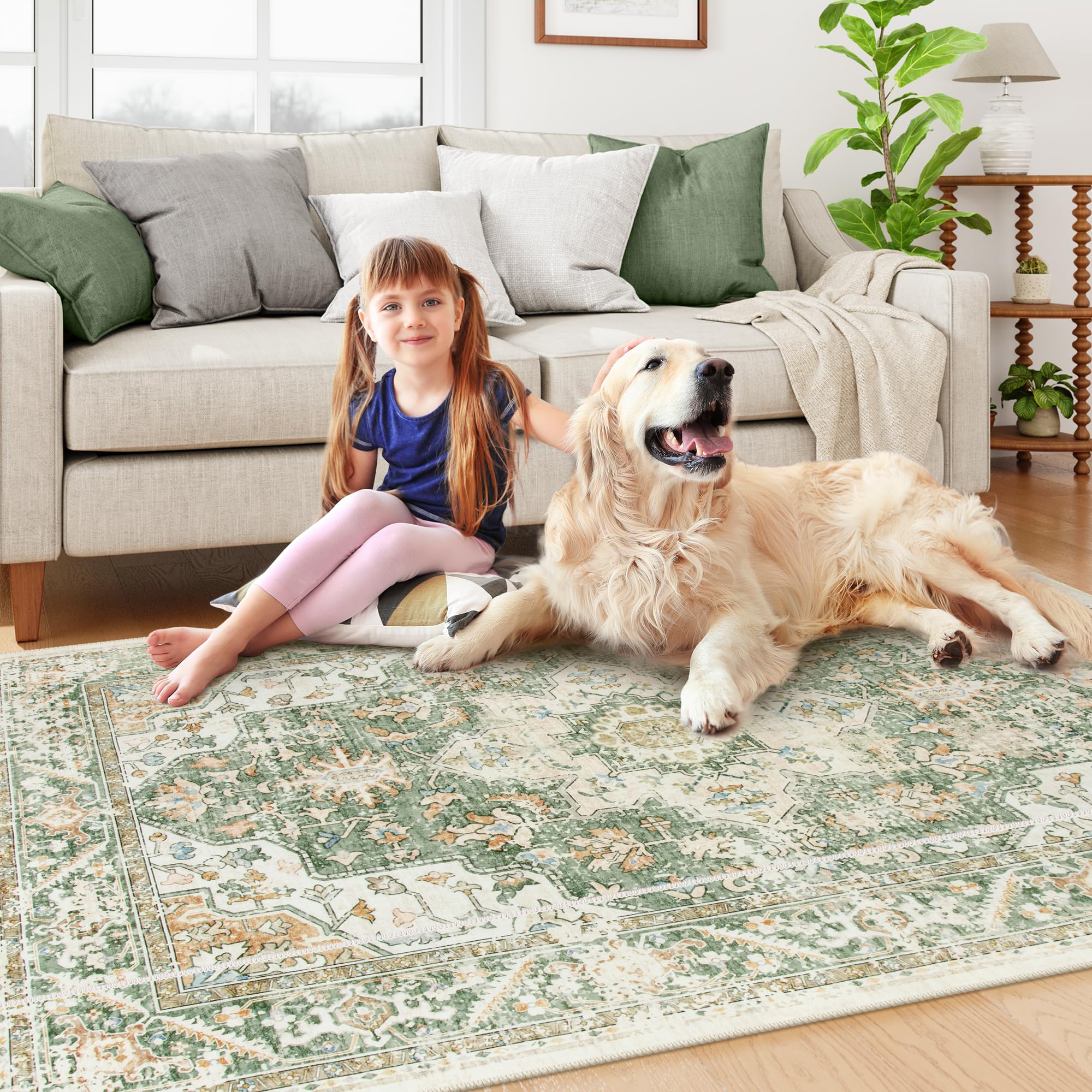 Lahome AR-DYRZP-010-G3 rugs - View #5