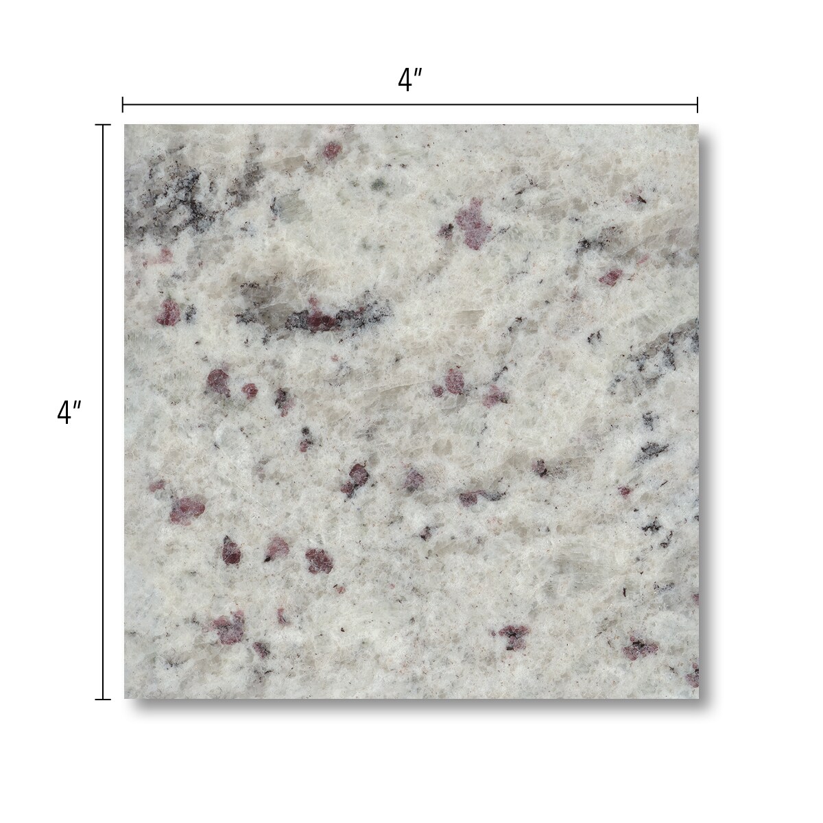 allen + roth Emerald Ridge Granite Black Kitchen Countertop SAMPLE (4-in x  4-in) at