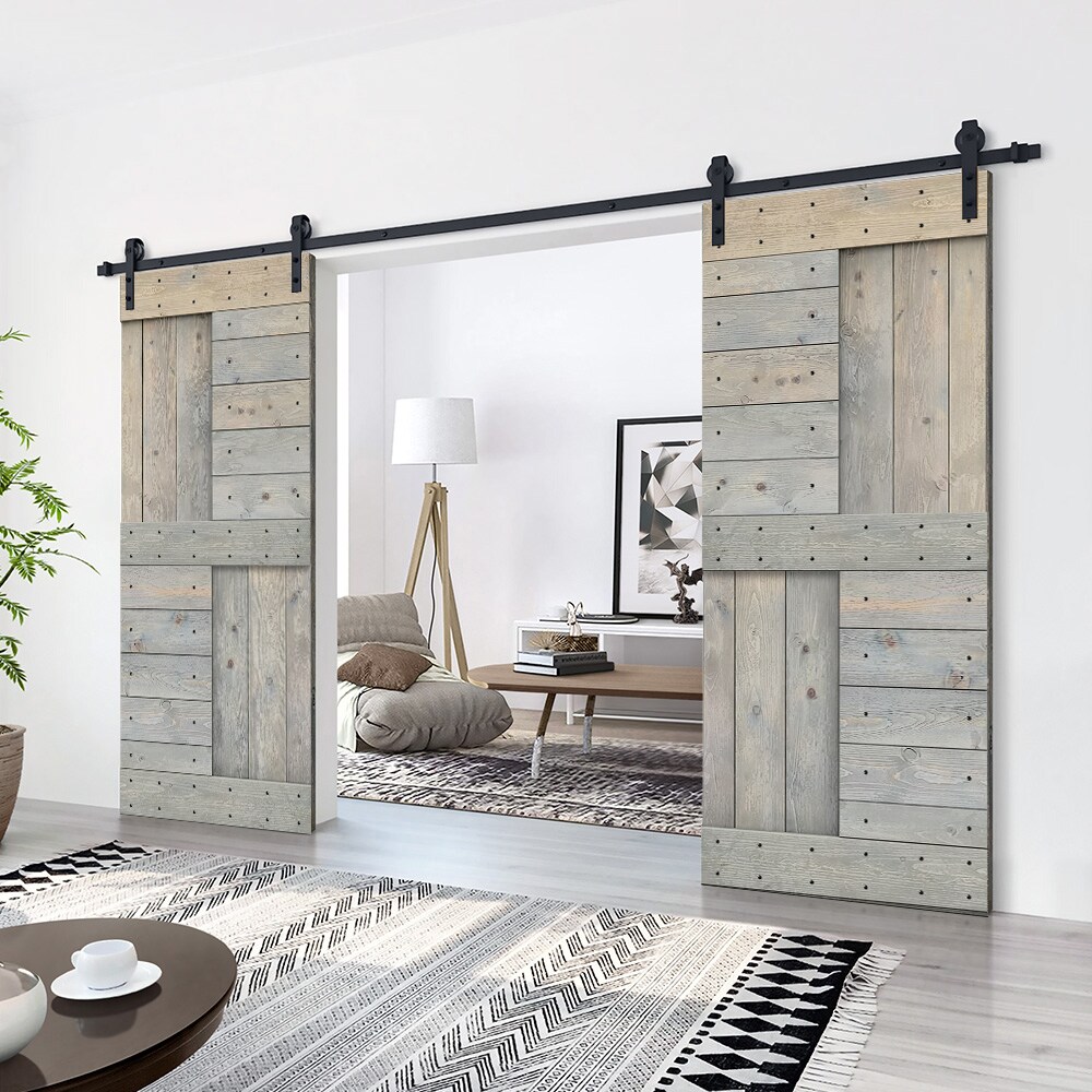 CALHOME MK72(2+N1-36SKG(2+CN Barn-Doors - View #3