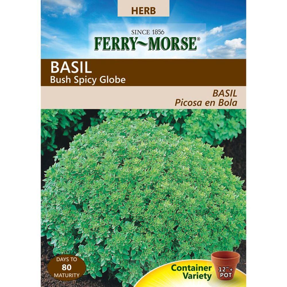 Ferry-Morse 471516.159.407348 375 Milli-Gram Basil Bush Spicy Globe (L0000)