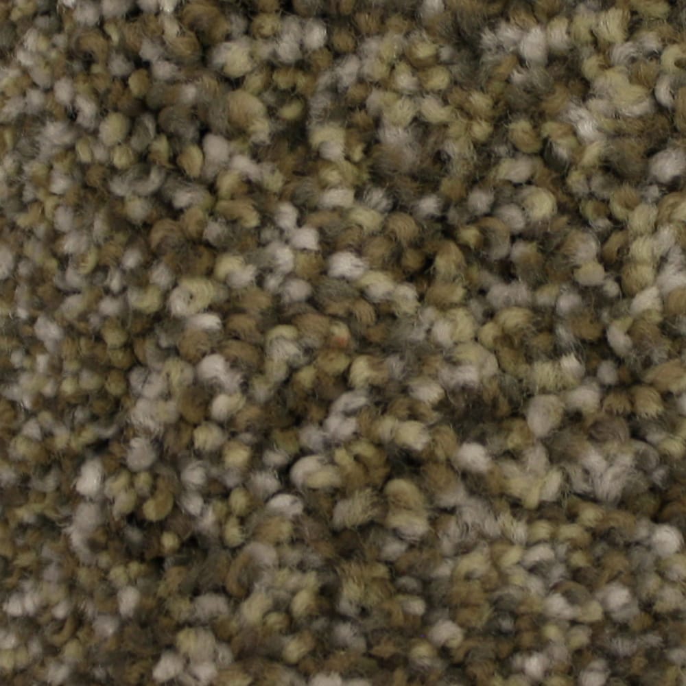 STAINMASTER S9068-7-1200-AB (Sample) PetProtect Soul Mate Devotion Textured Indoor Carpet