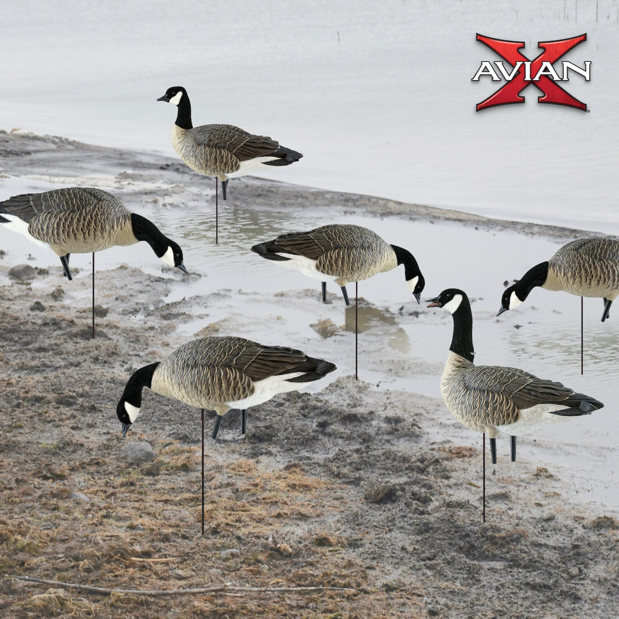 Avian X 3 X AVX-LESS-6PK Hunting-Equipment - View #5
