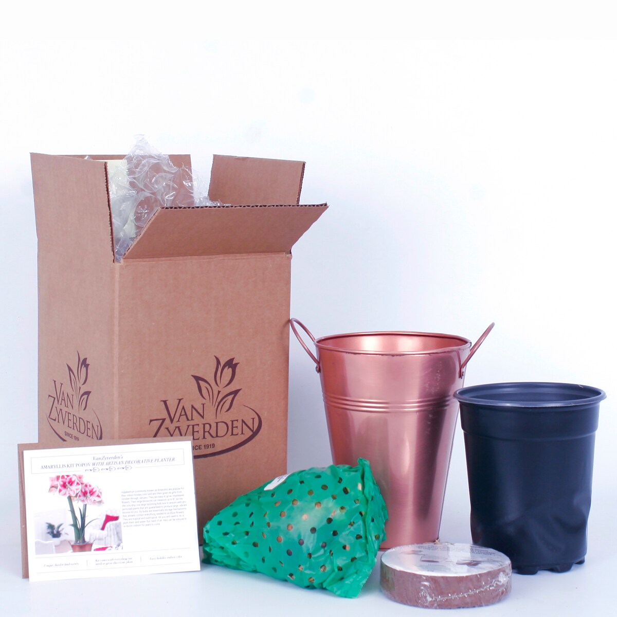 Van Zyverden 87297 Plant-Bulbs - View #5